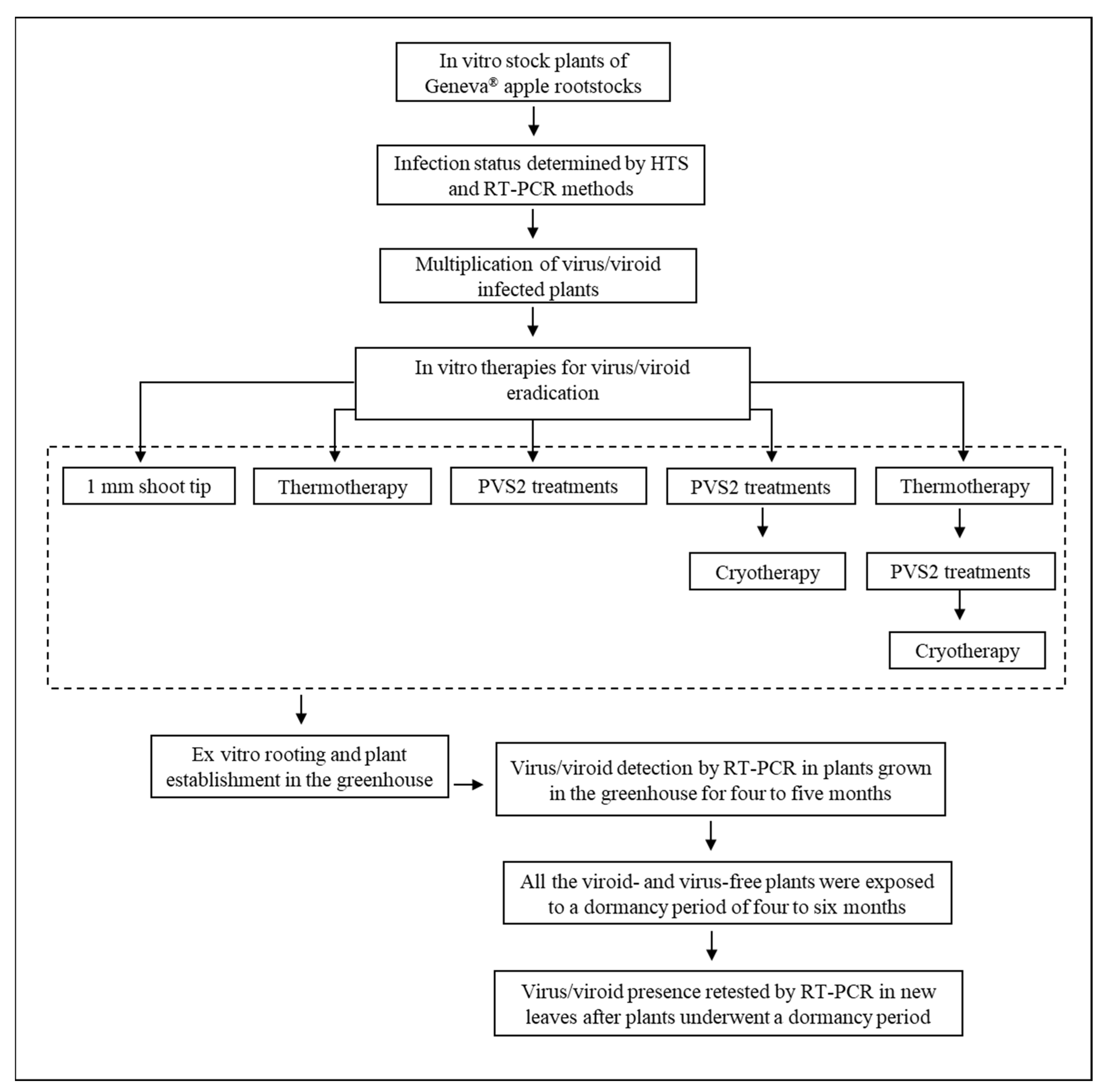 Plants 11 00582 g001 Plants 11 00582 g001