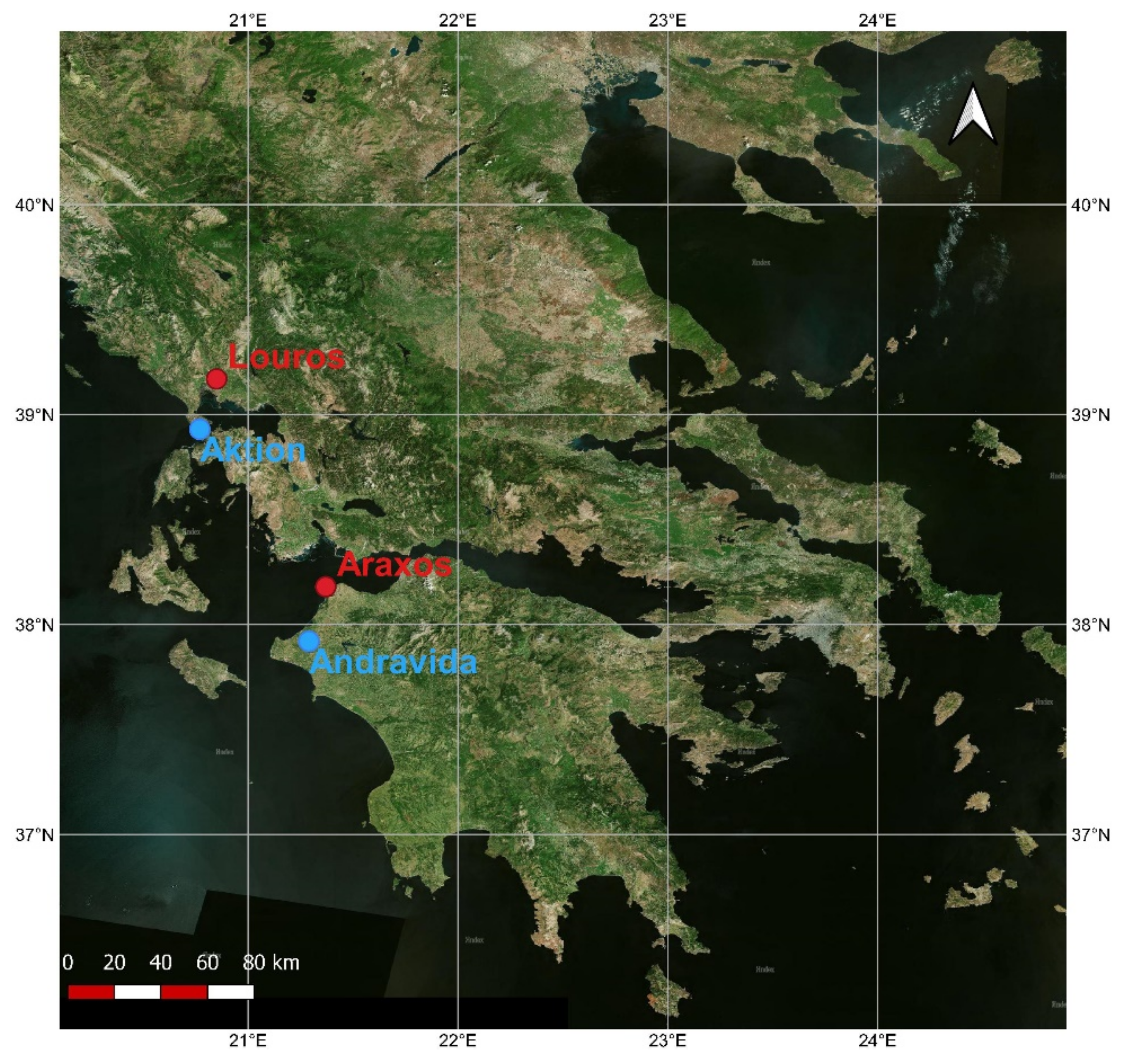 Plants 11 00584 g001