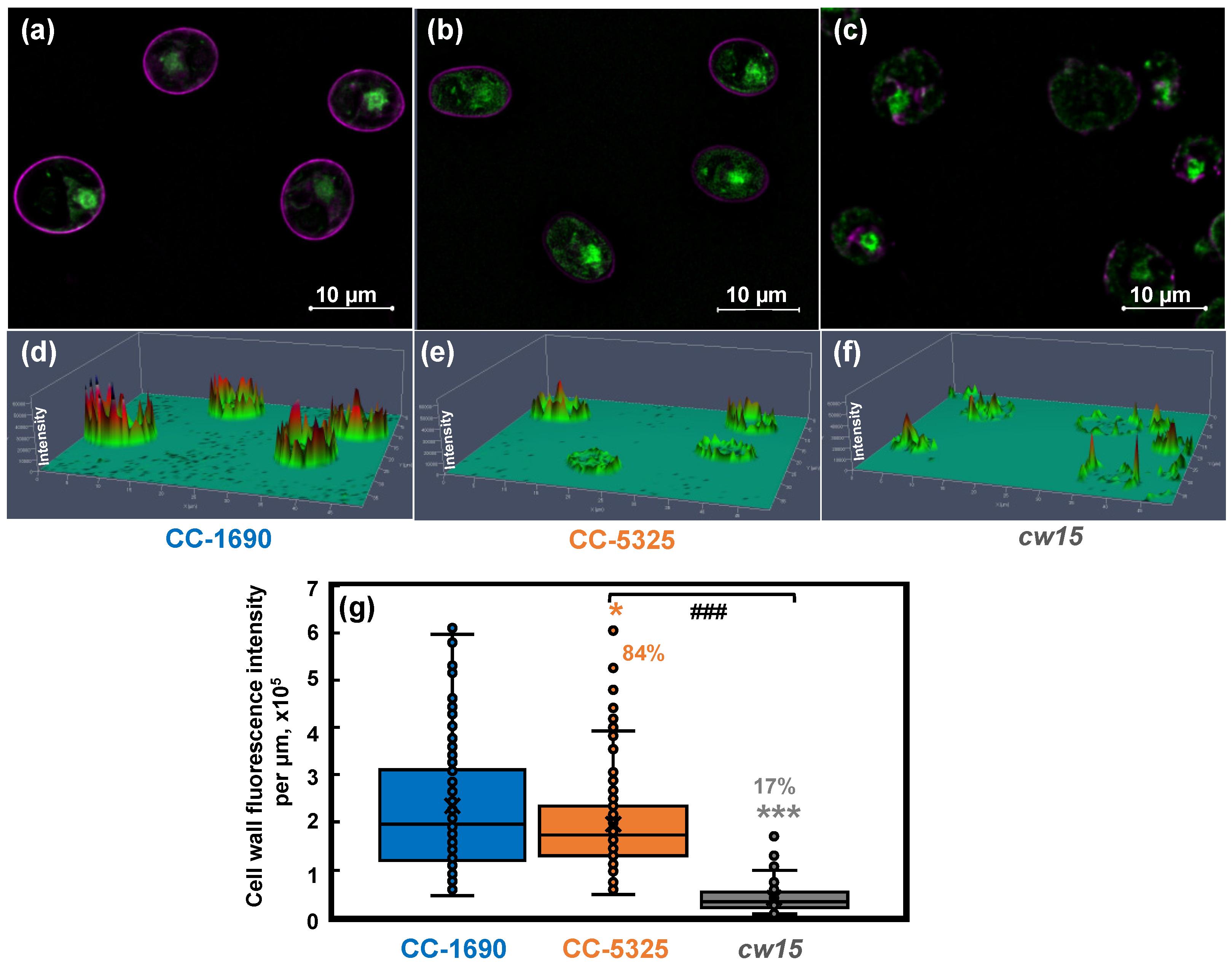 Plants 11 00585 g008