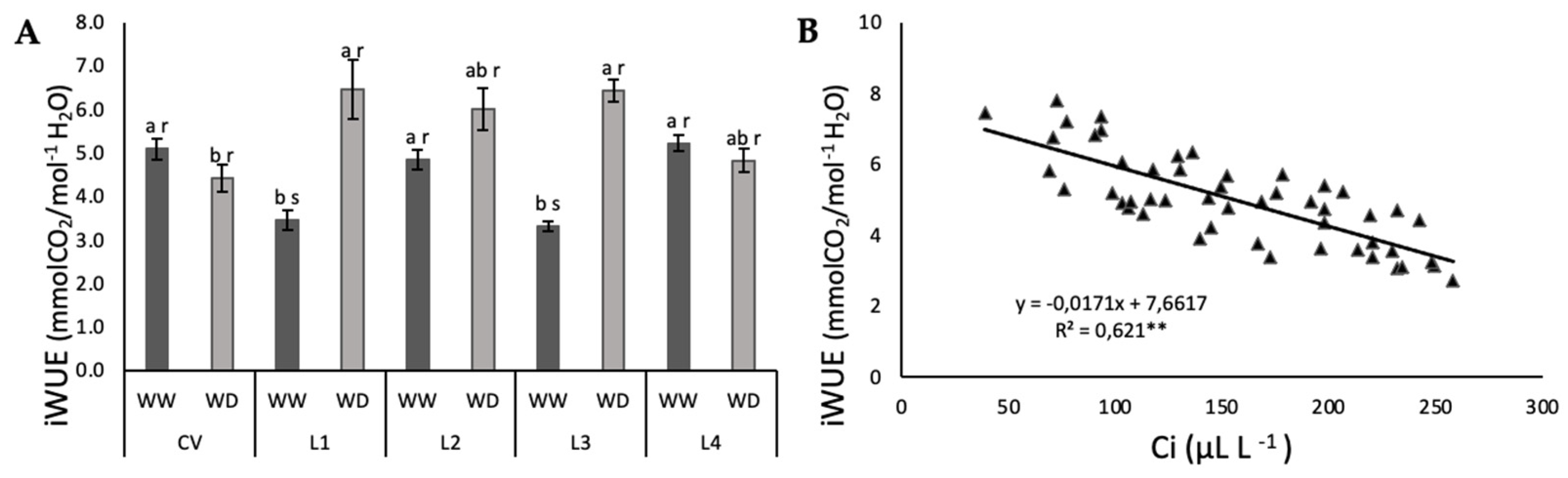 Plants 11 00593 g004