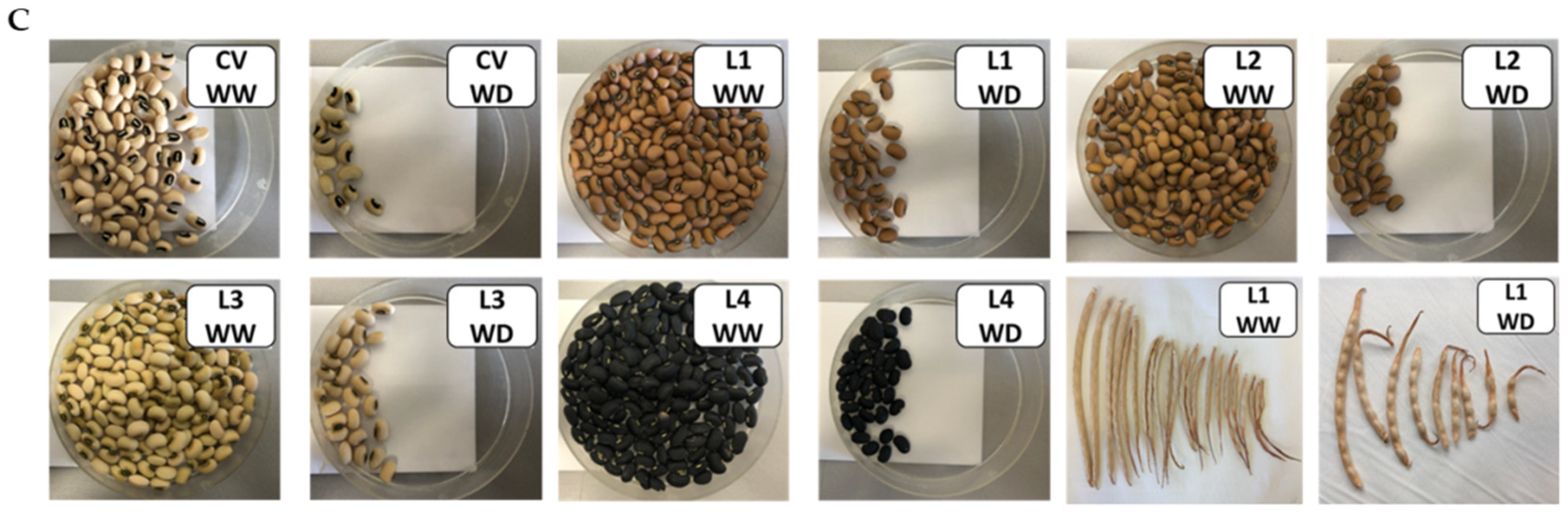 Plants 11 00593 g008b