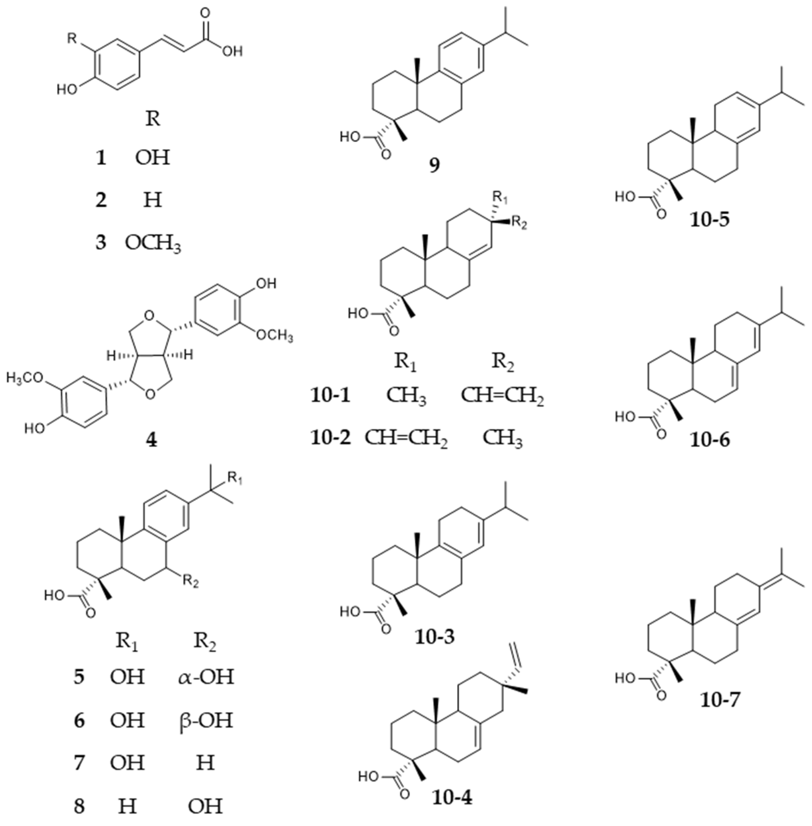 Plants 11 00599 g001