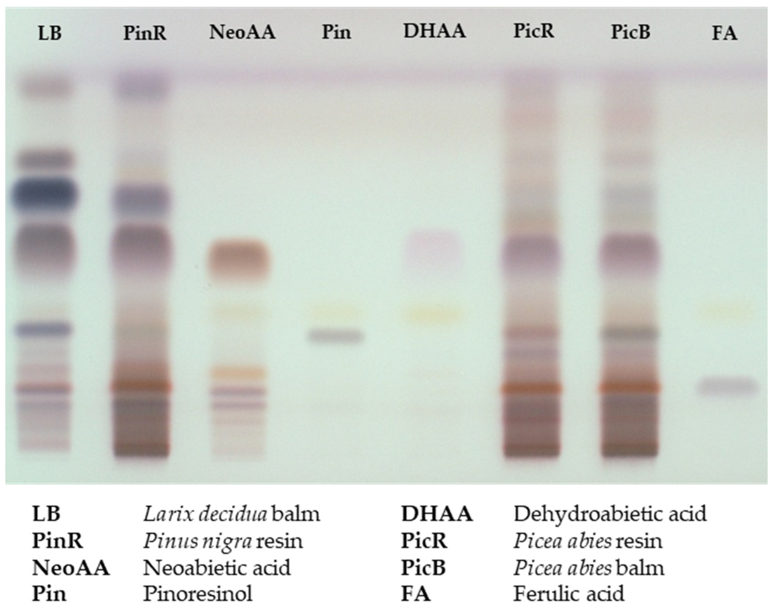 Plants 11 00599 g002