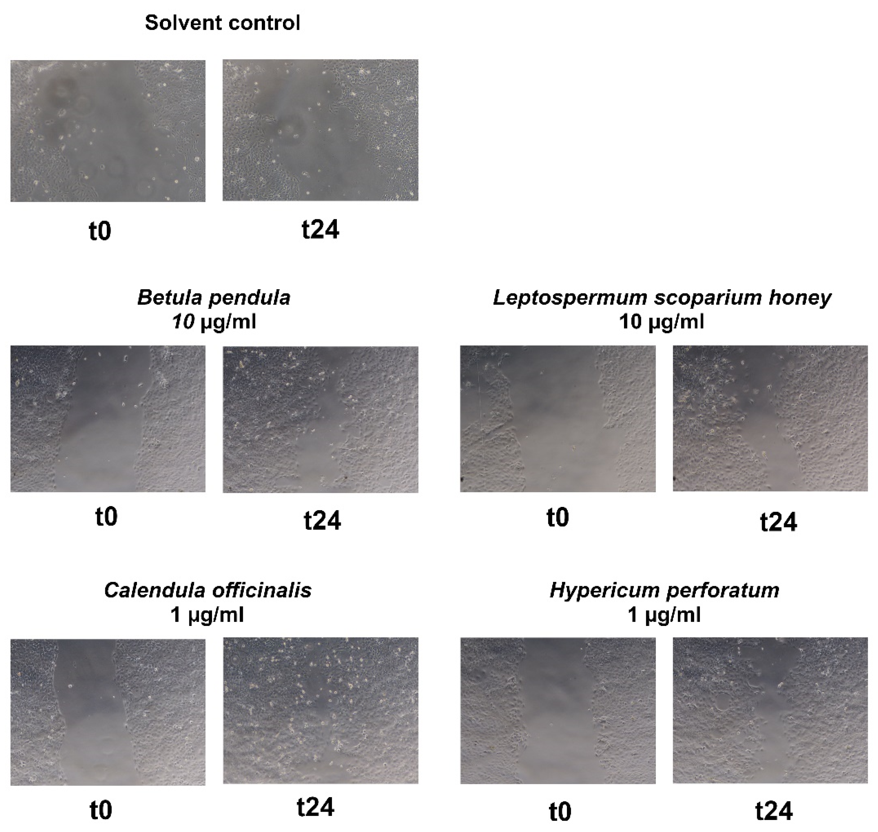 Plants 11 00599 g006