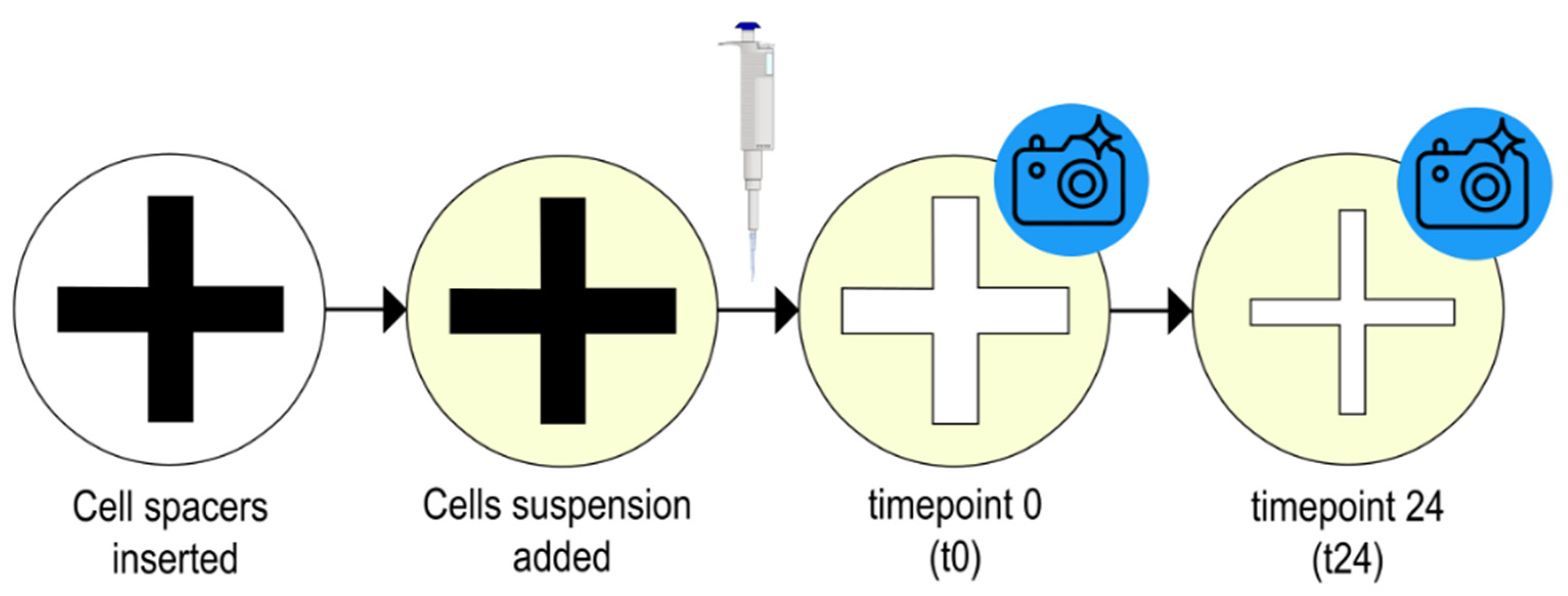 Plants 11 00599 g007