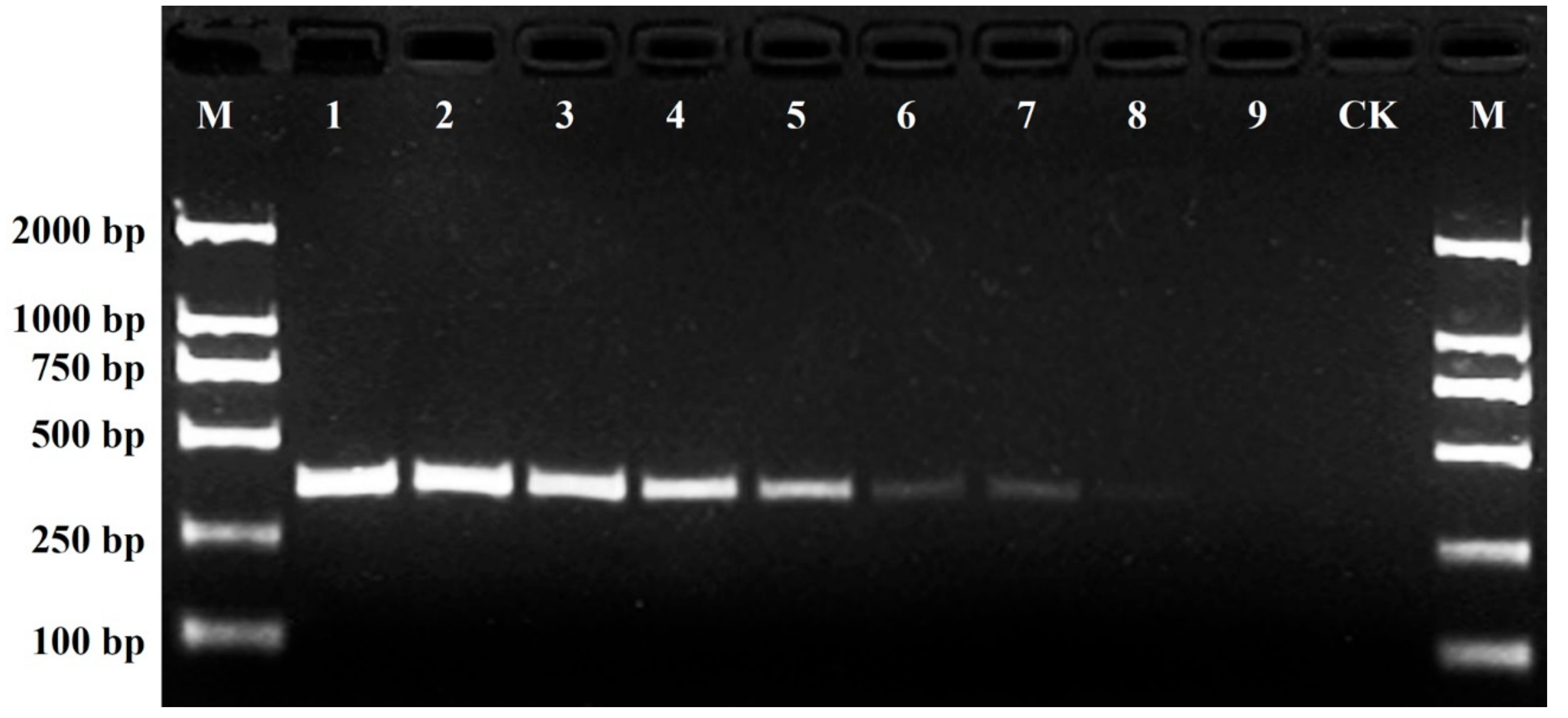 Plants 11 00604 g005 Plants 11 00604 g005