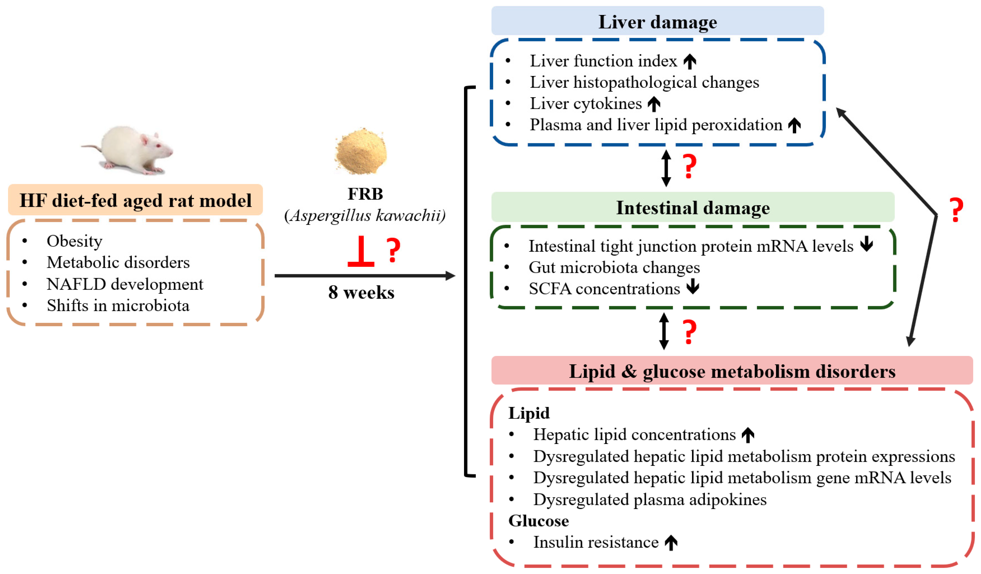 Plants 11 00607 g001