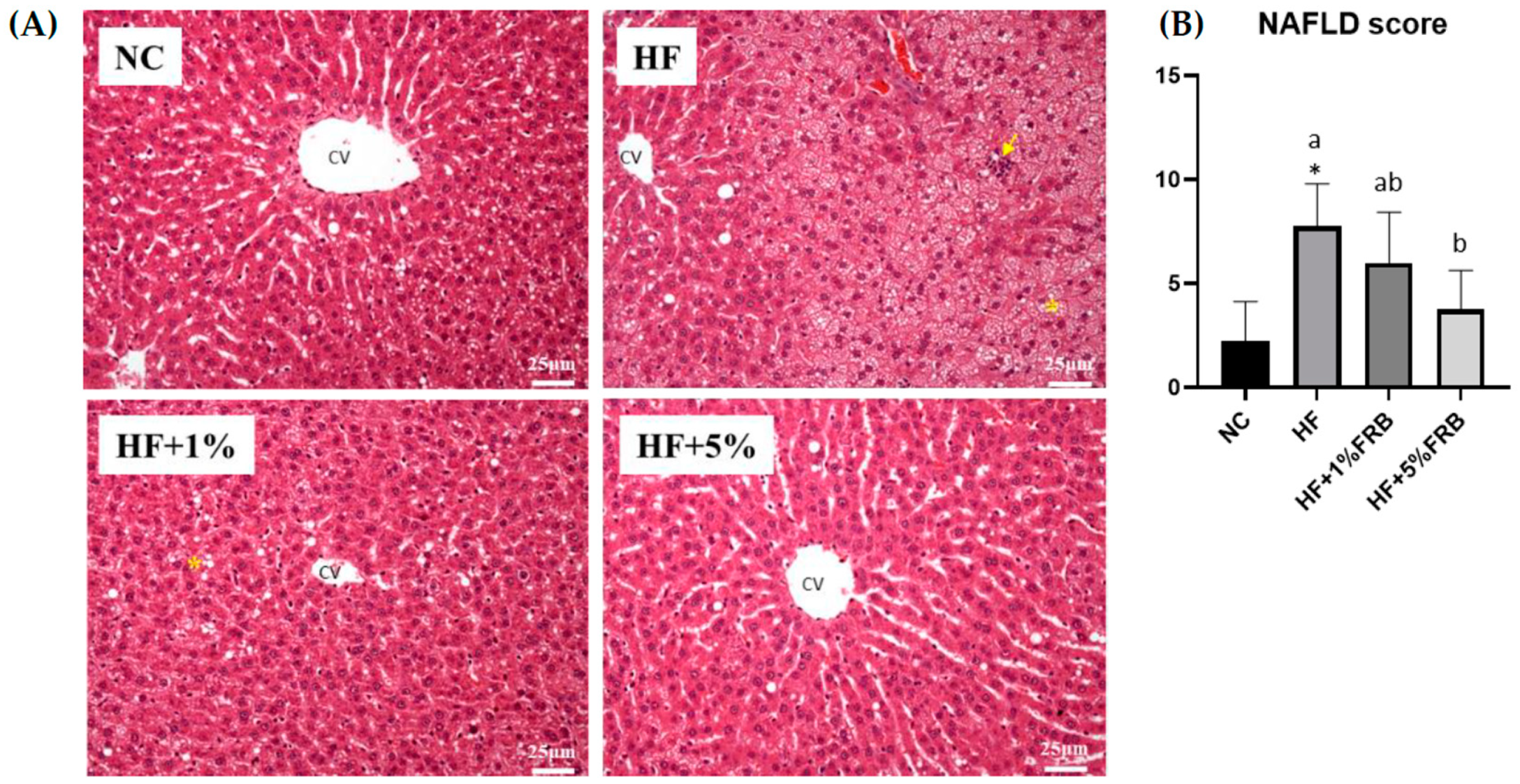 Plants 11 00607 g004