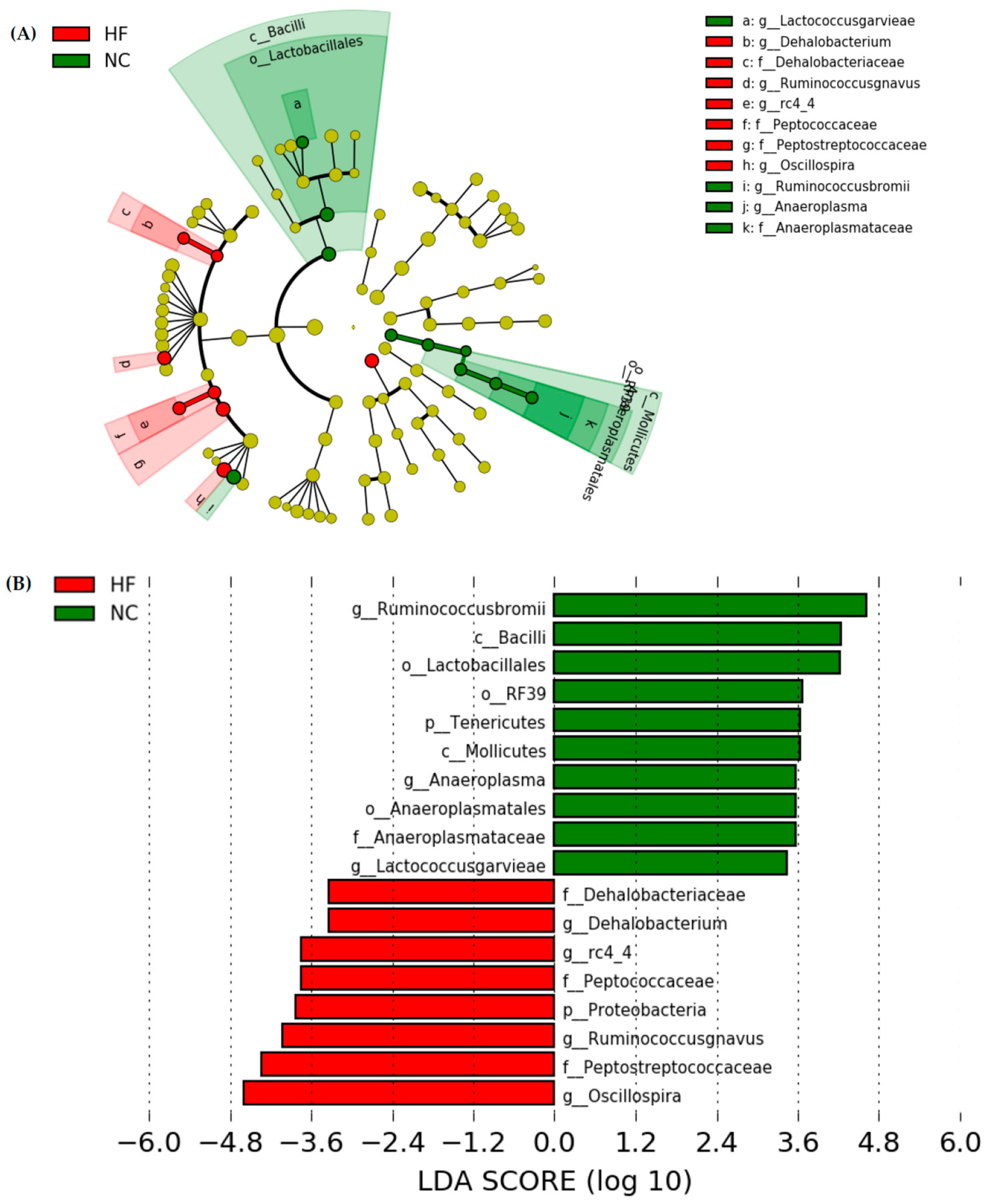 Plants 11 00607 g012