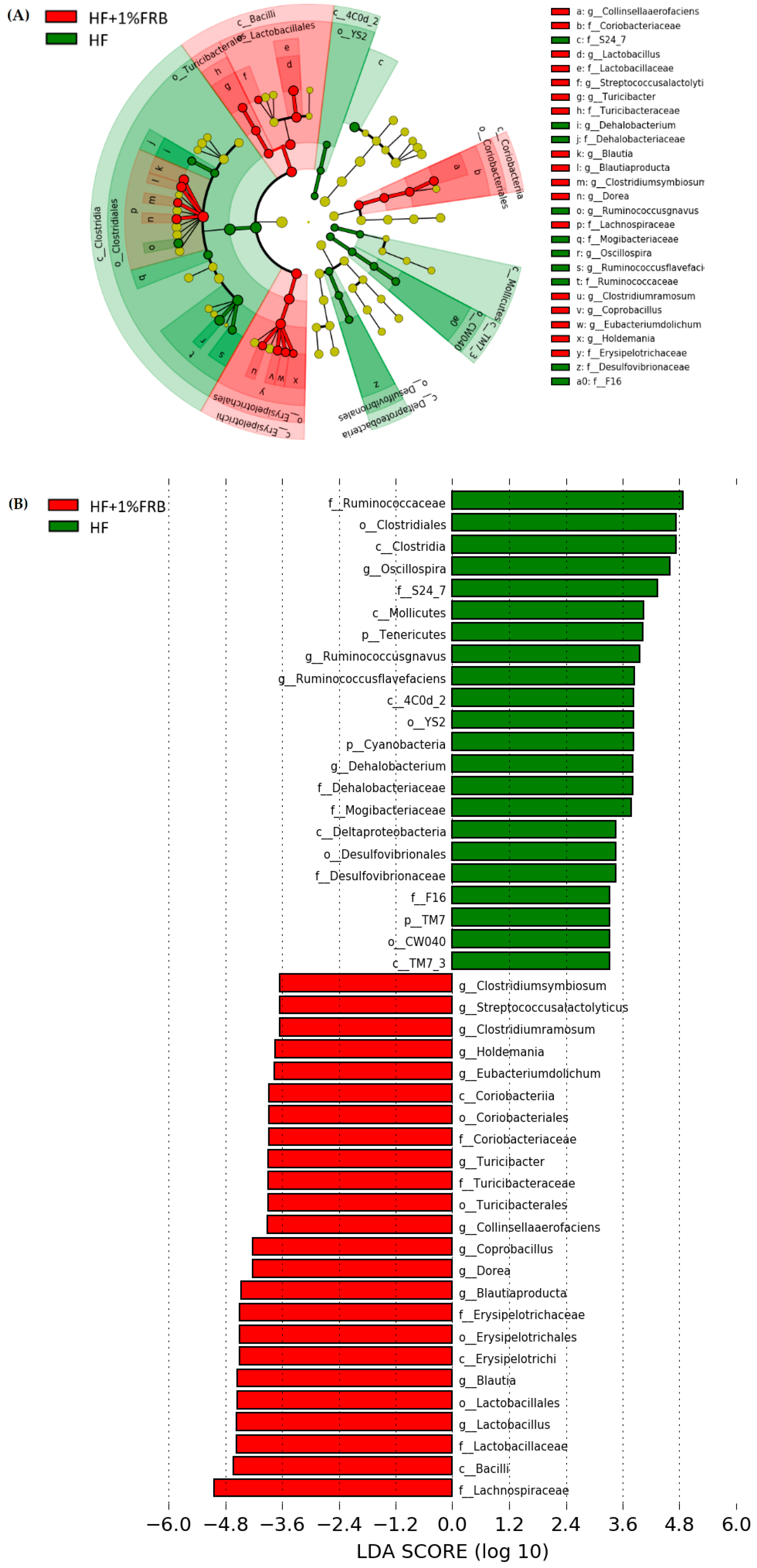 Plants 11 00607 g013