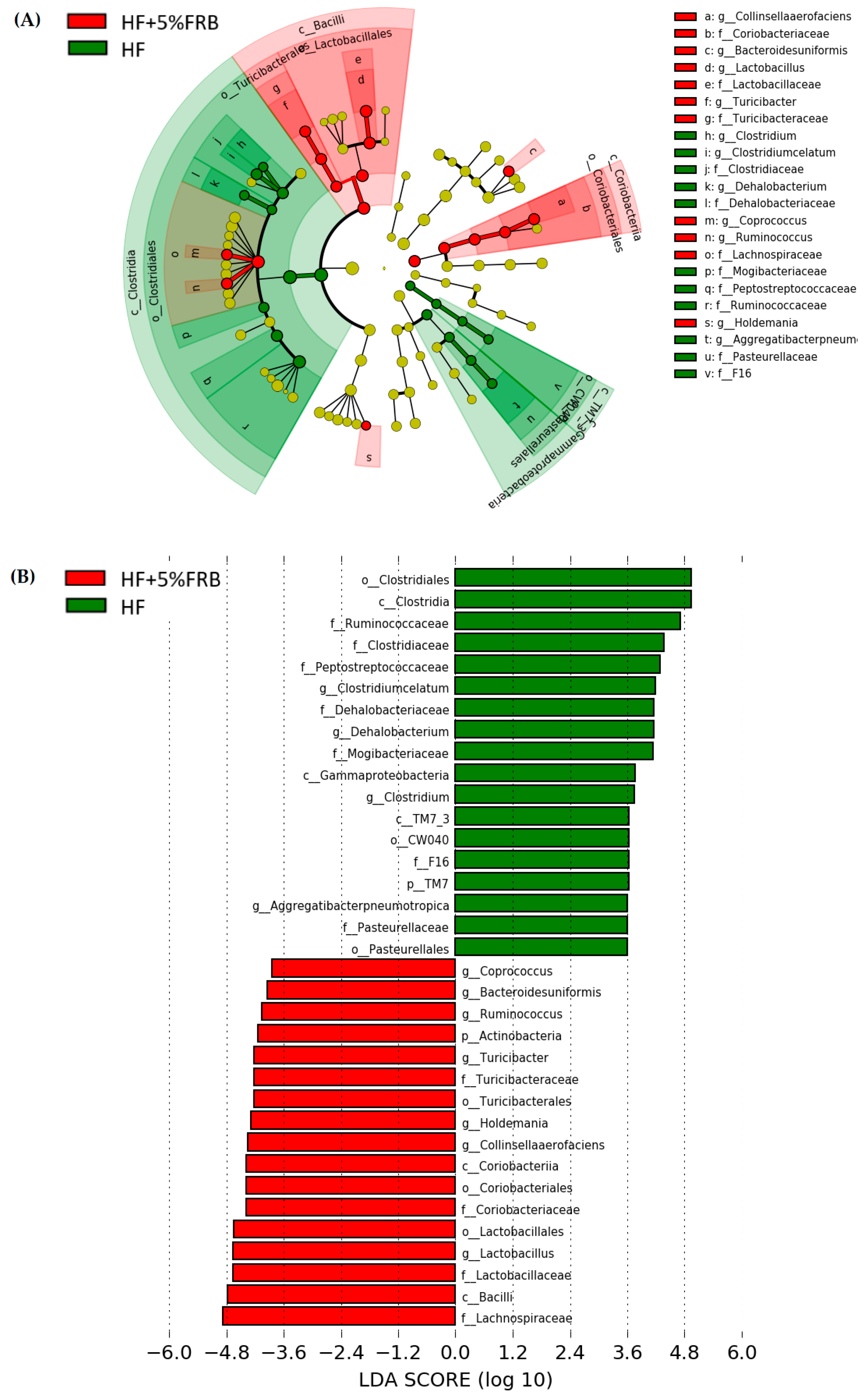 Plants 11 00607 g014