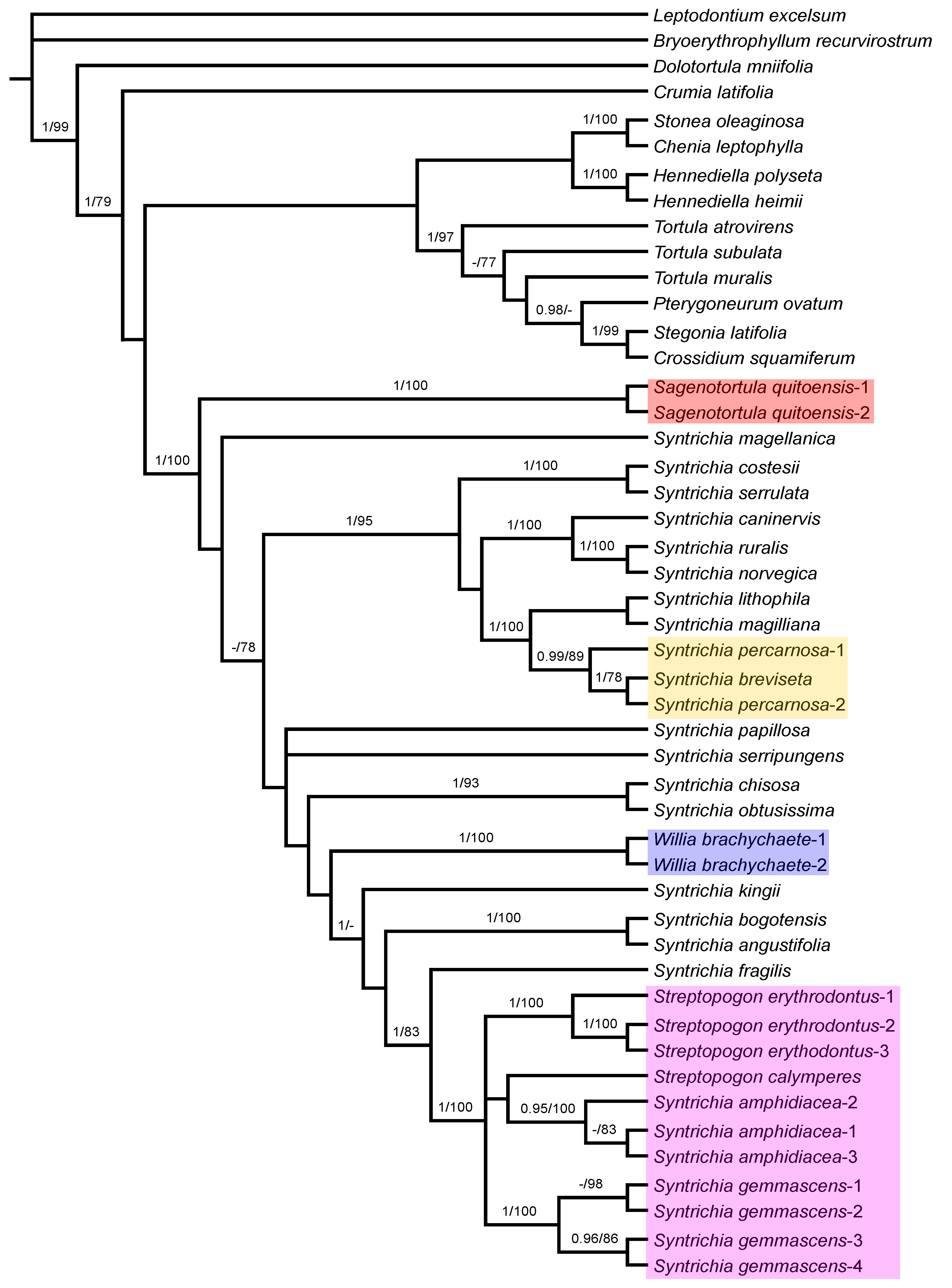 Plants 11 00626 g003 Plants 11 00626 g003