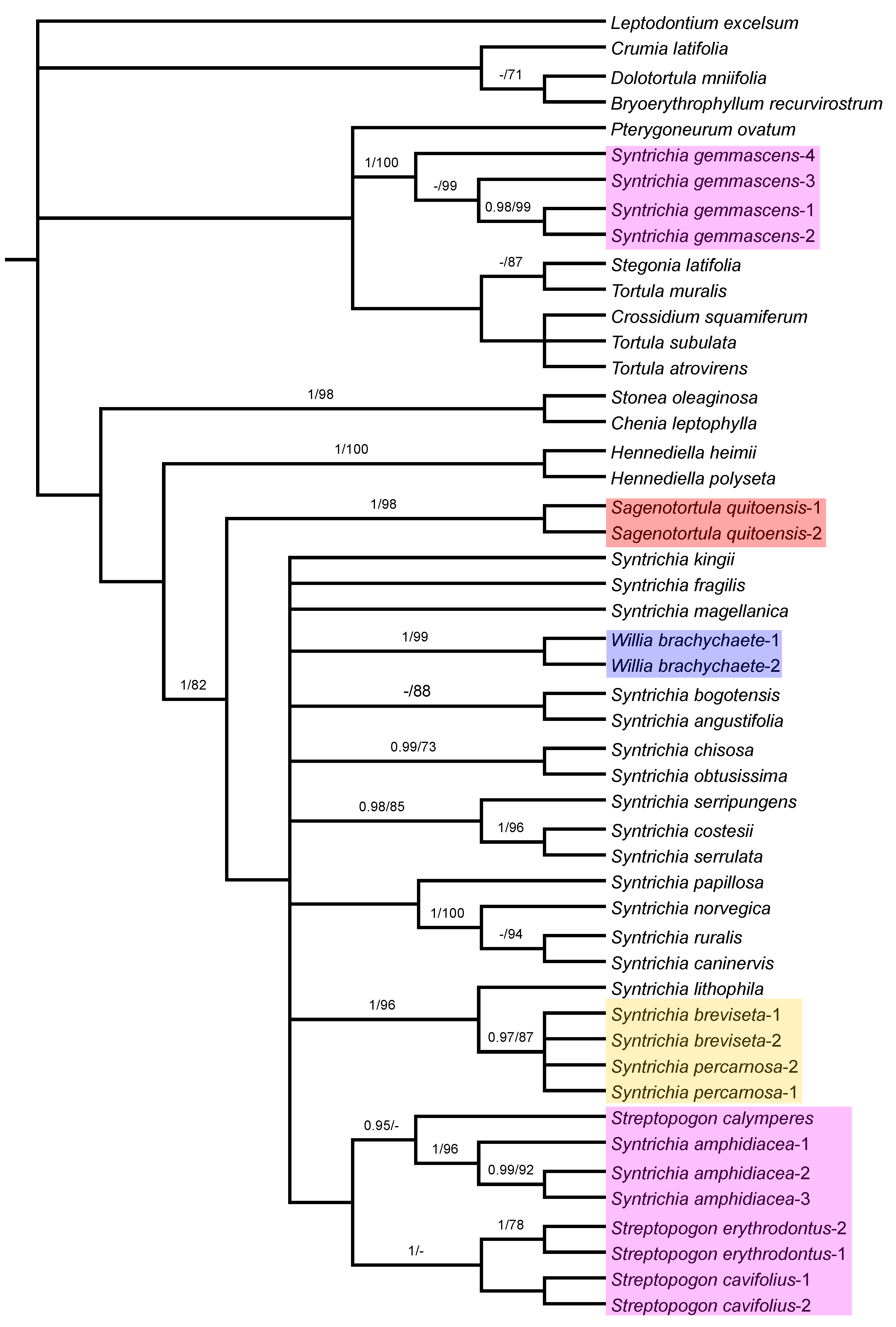 Plants 11 00626 g004 Plants 11 00626 g004