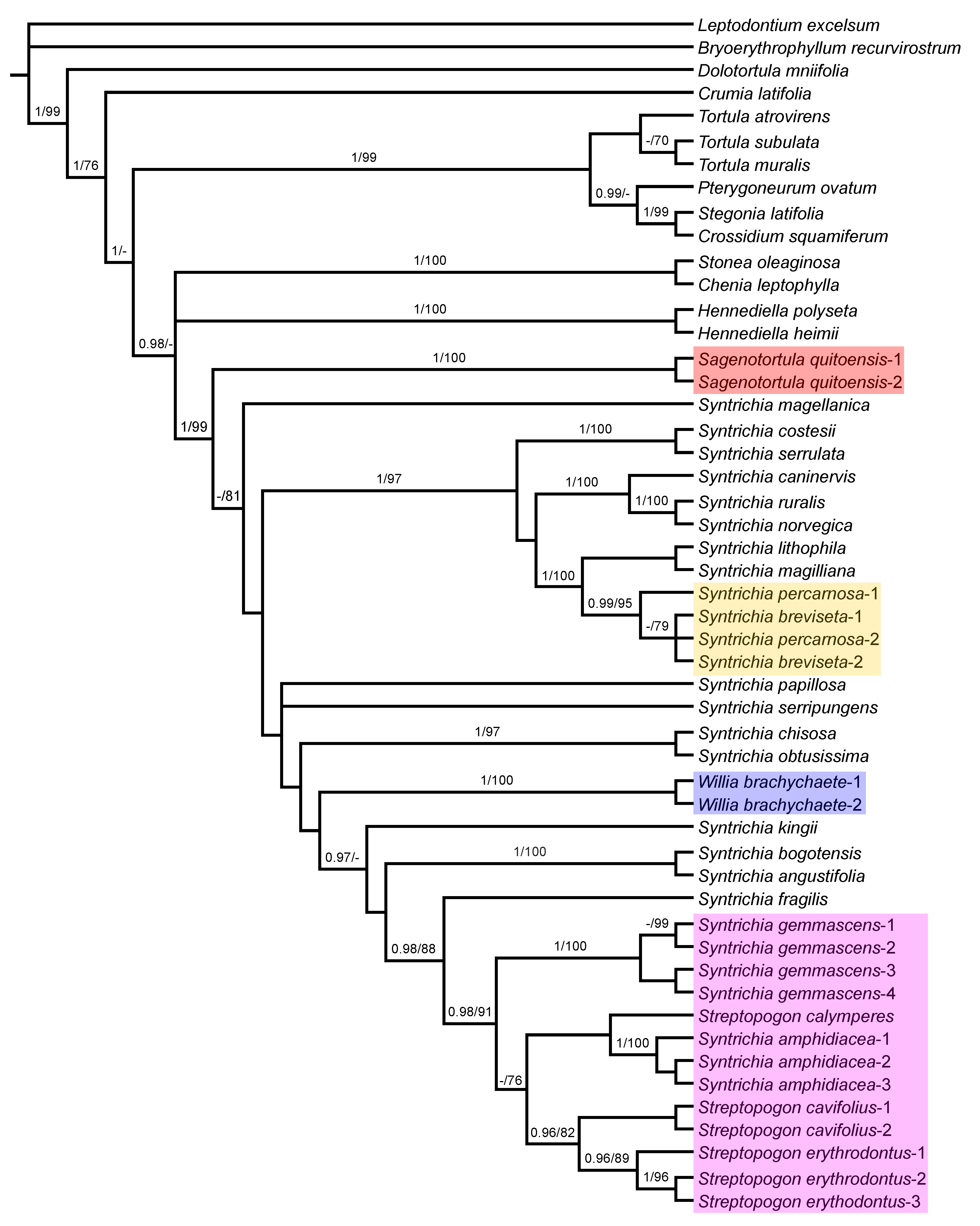 Plants 11 00626 g005 Plants 11 00626 g005