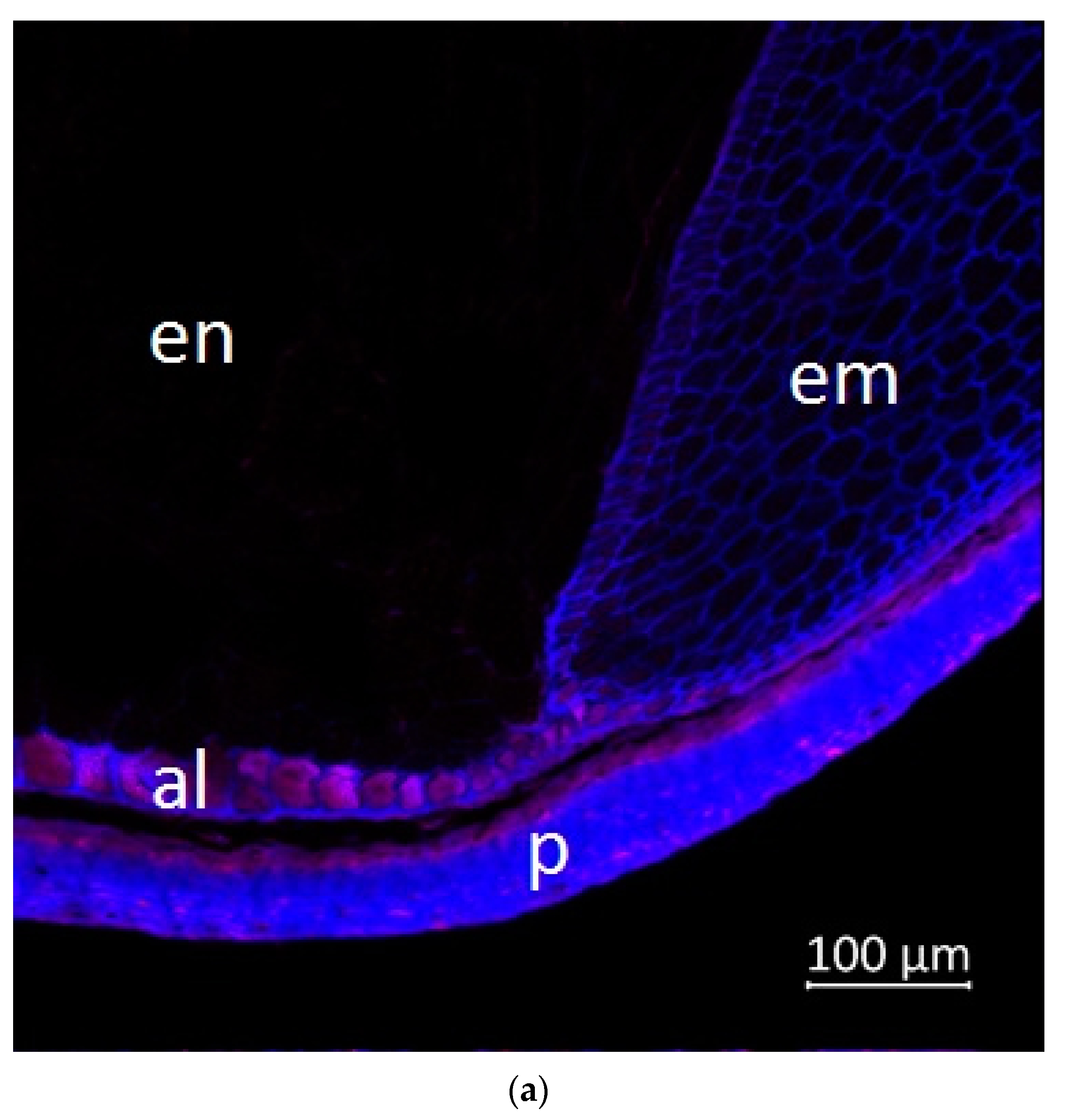 Plants 11 00630 g006a