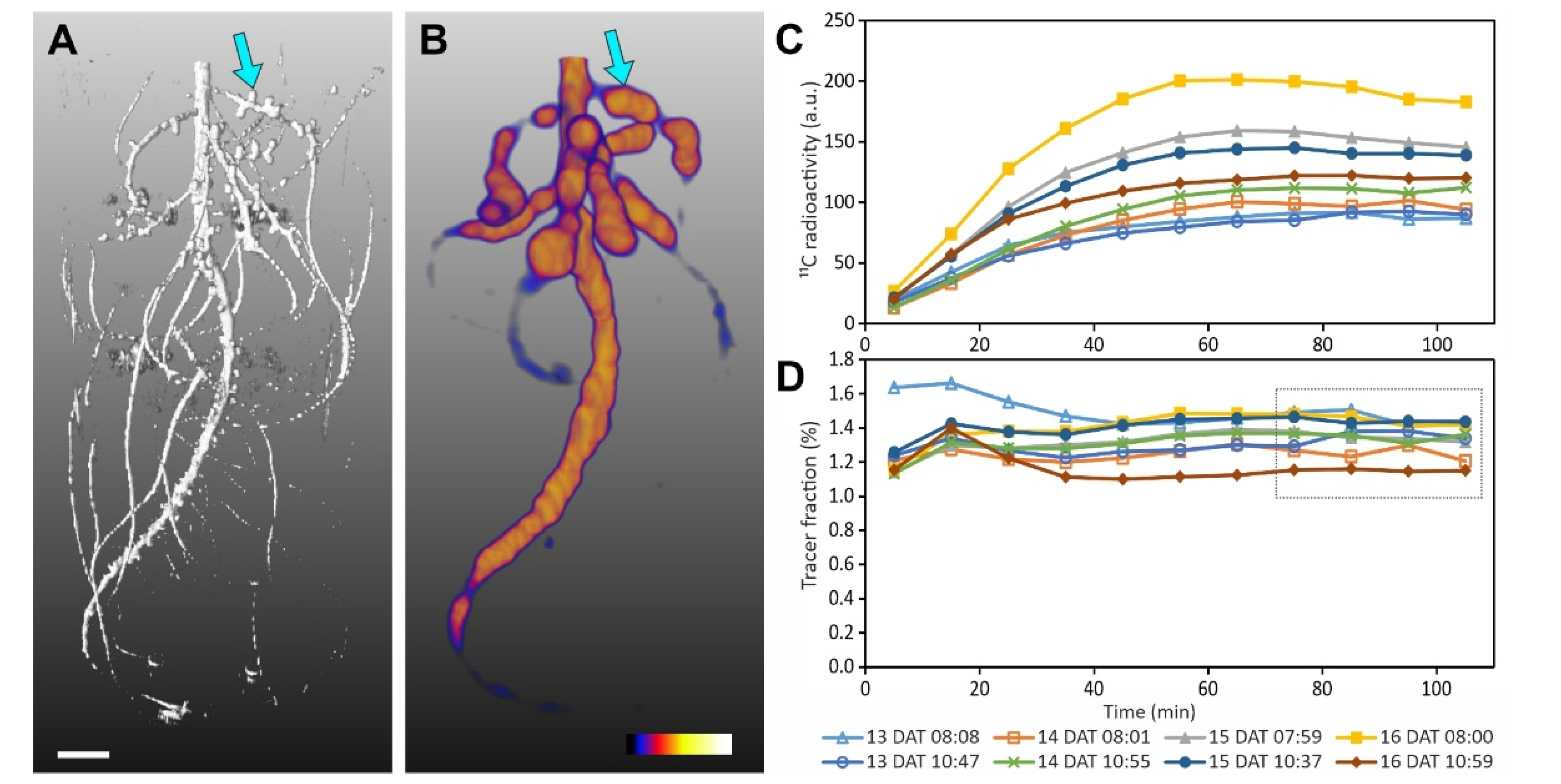 Plants 11 00632 g003