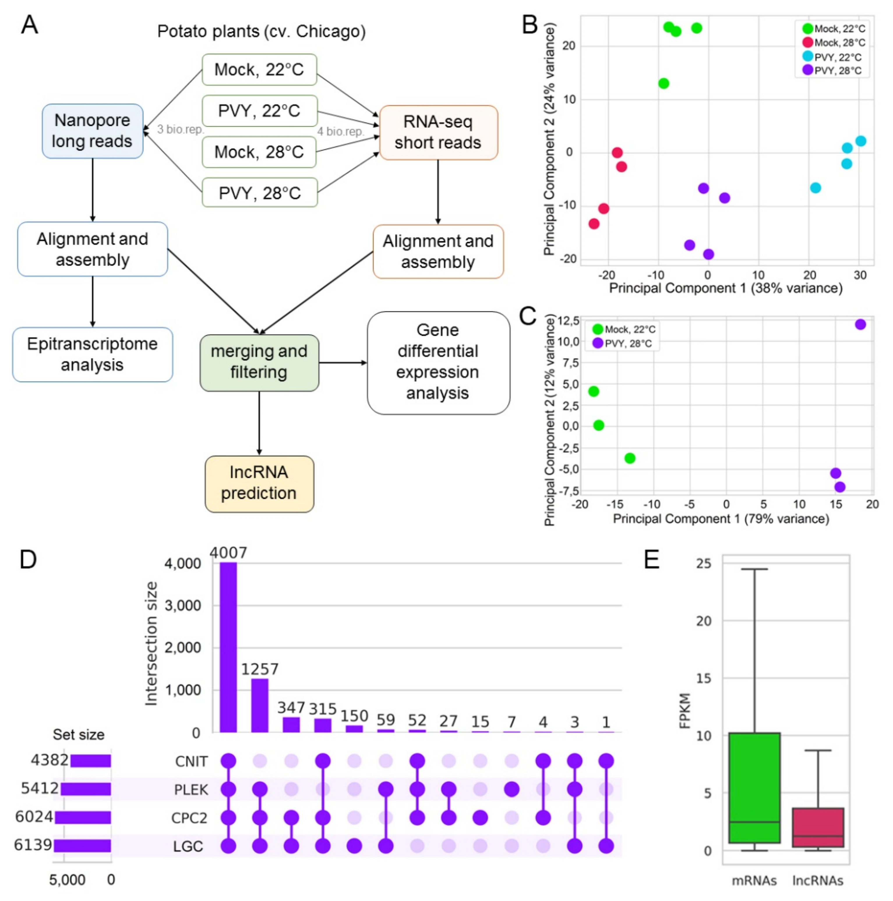Plants 11 00635 g001 Plants 11 00635 g001