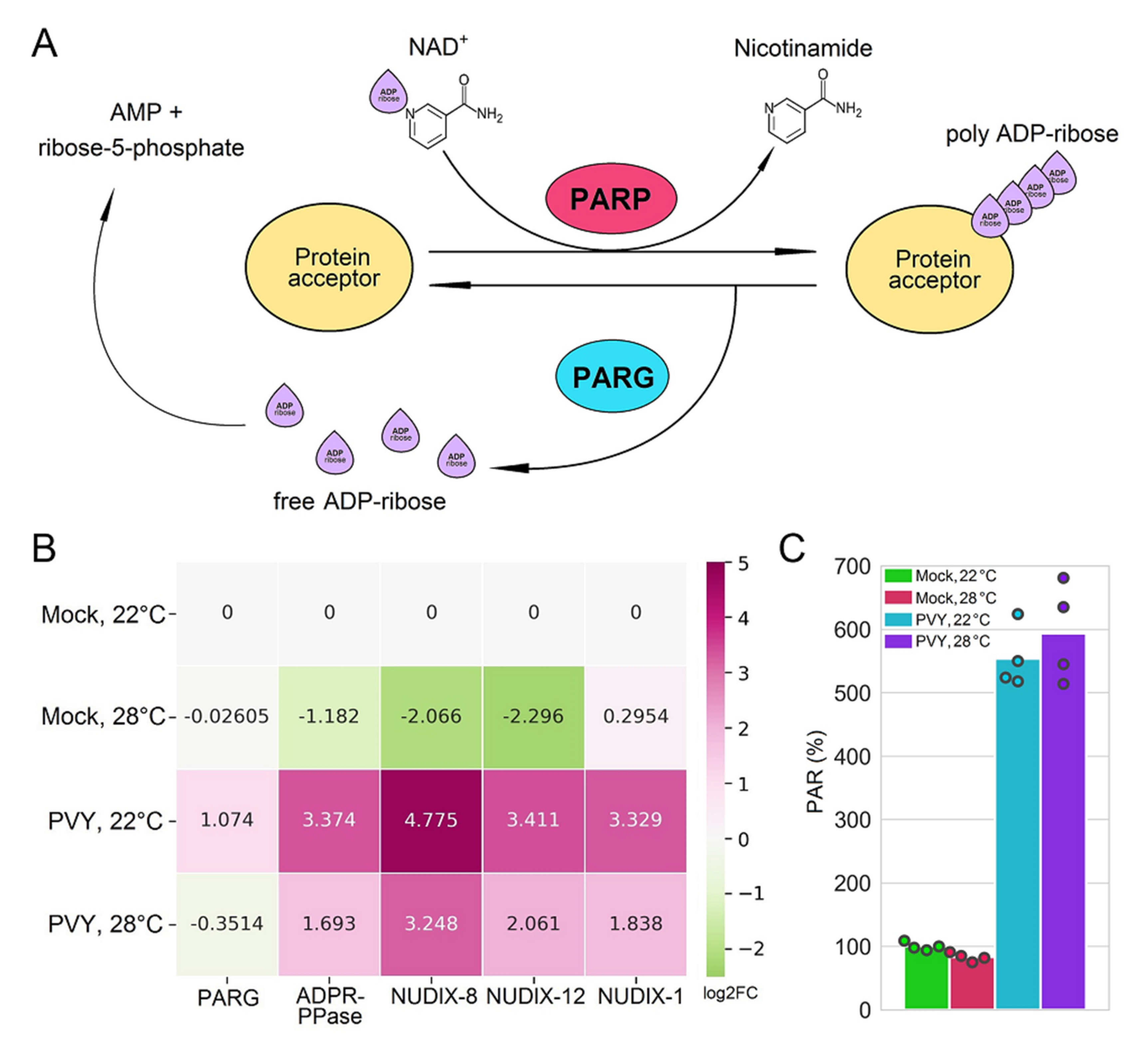 Plants 11 00635 g005 Plants 11 00635 g005