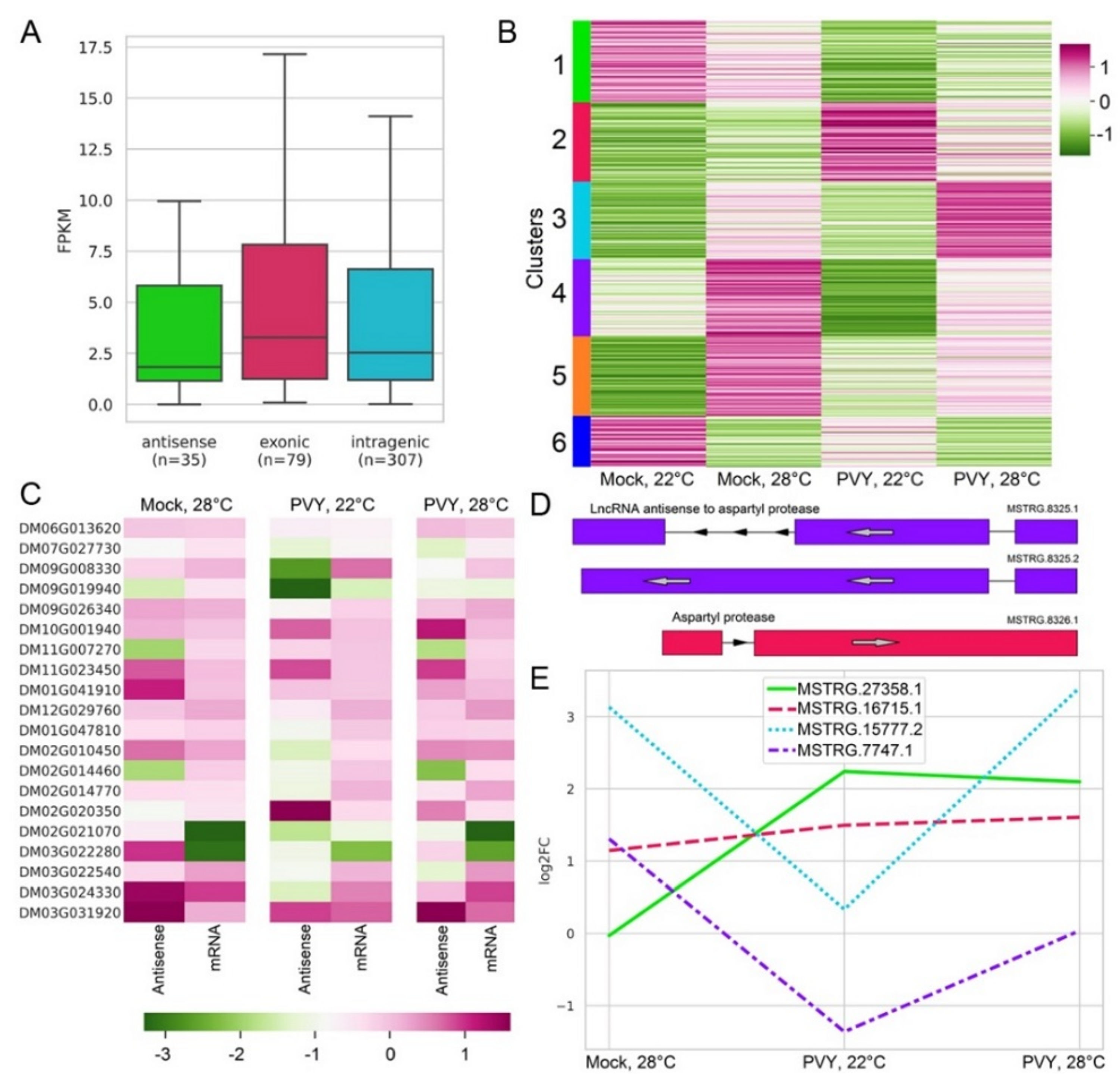 Plants 11 00635 g007 Plants 11 00635 g007