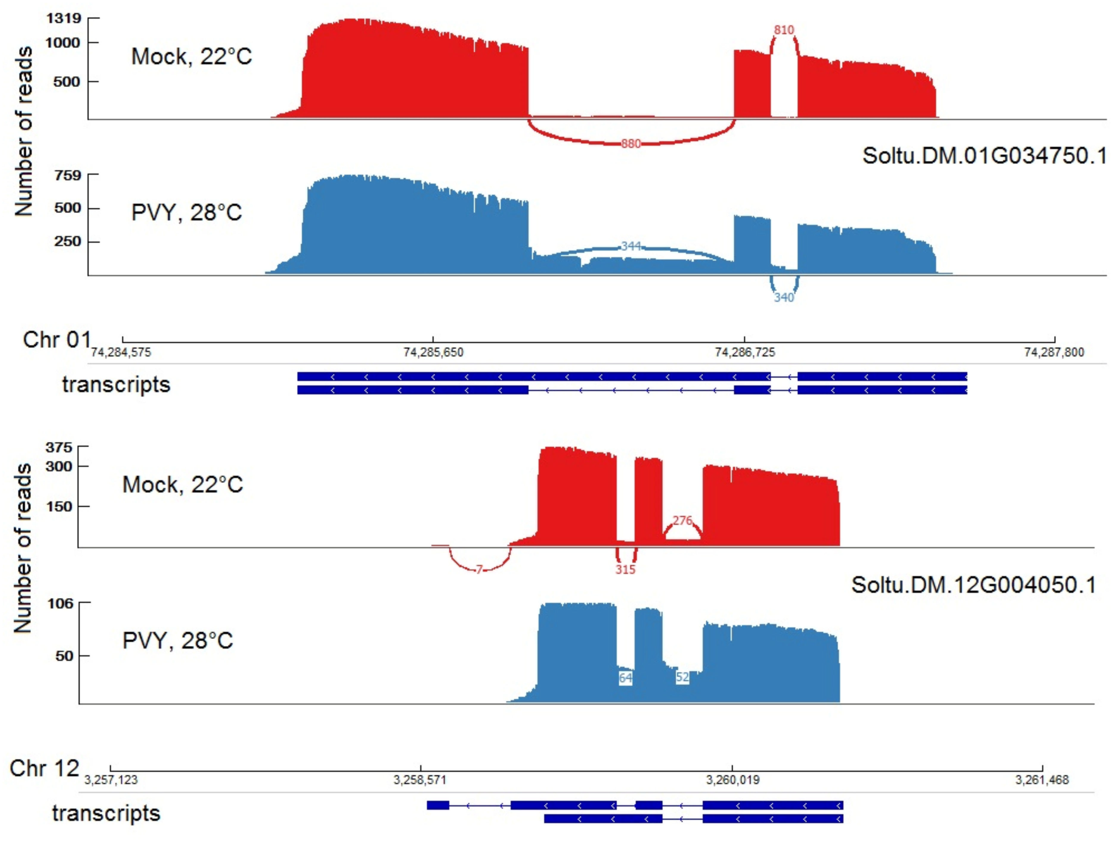 Plants 11 00635 g008 Plants 11 00635 g008