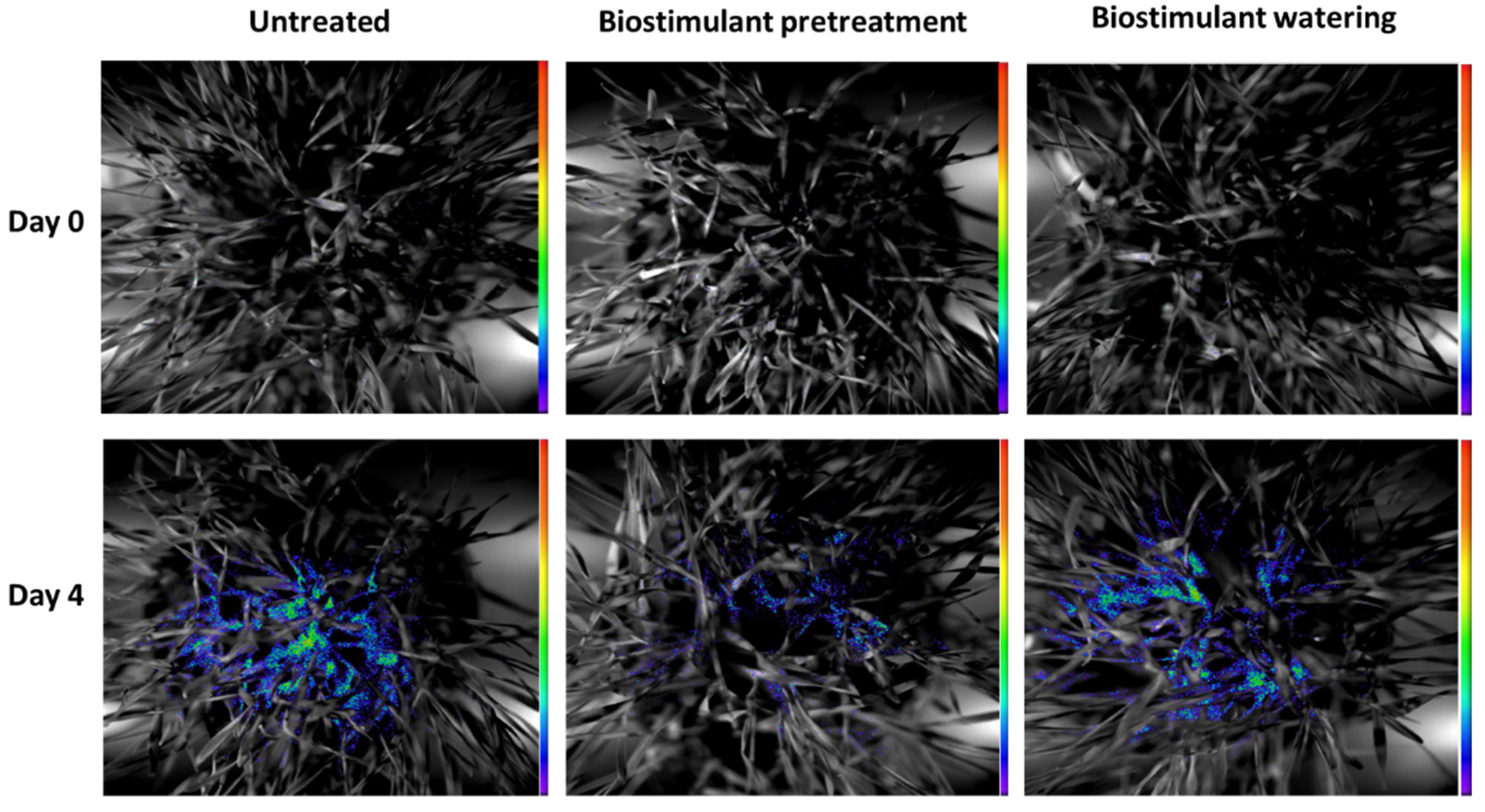 Plants 11 00640 g003 550