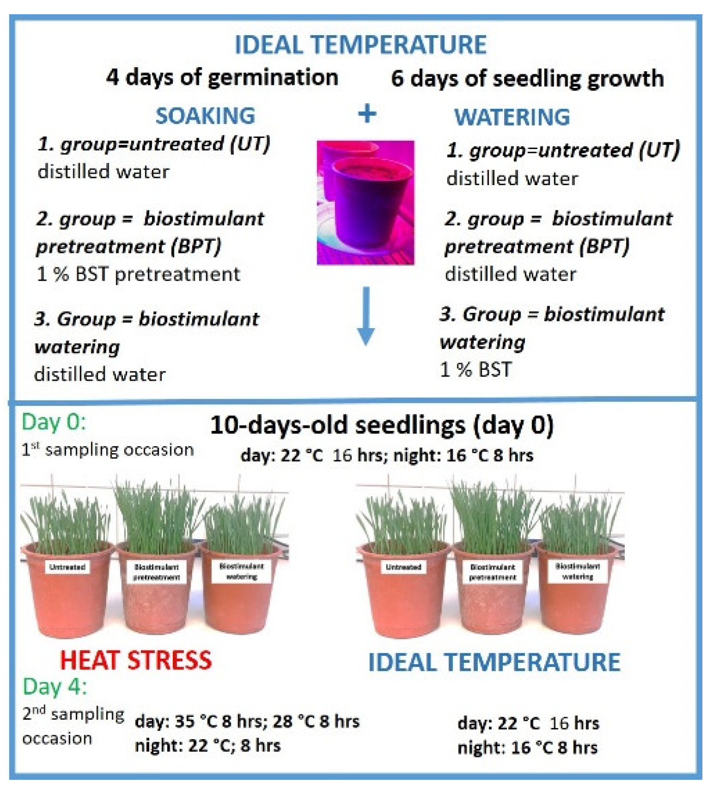 Plants 11 00640 g005 550