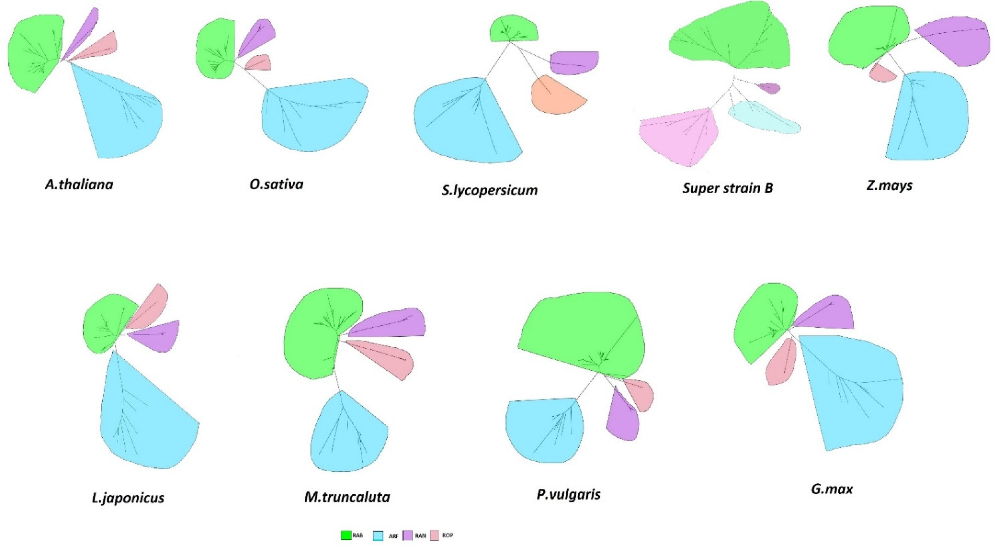 Plants 11 00641 g001 Plants 11 00641 g001
