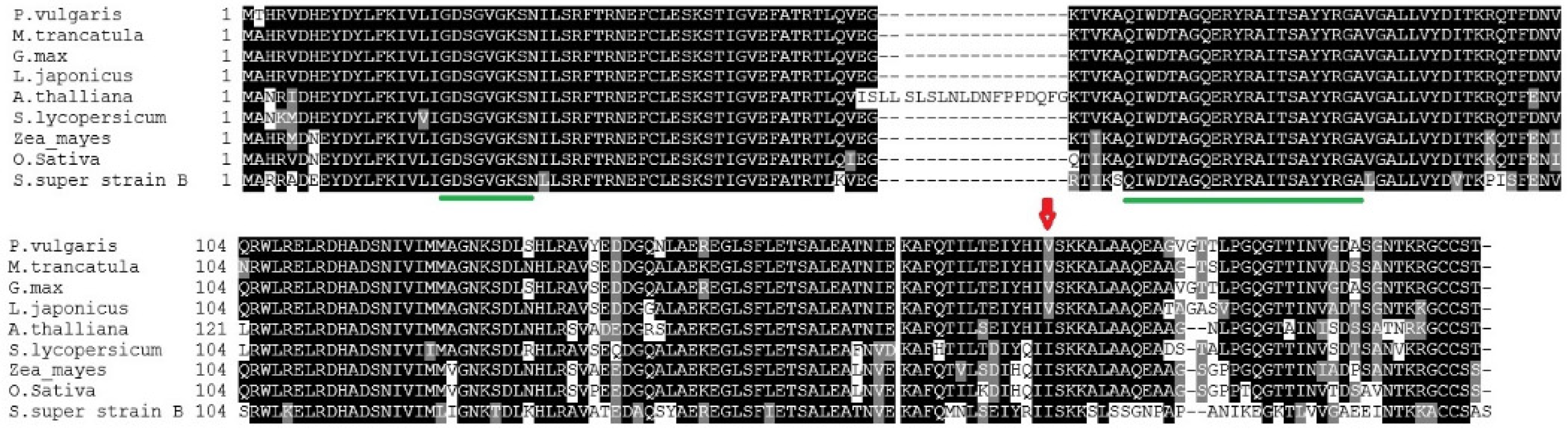 Plants 11 00641 g002 Plants 11 00641 g002