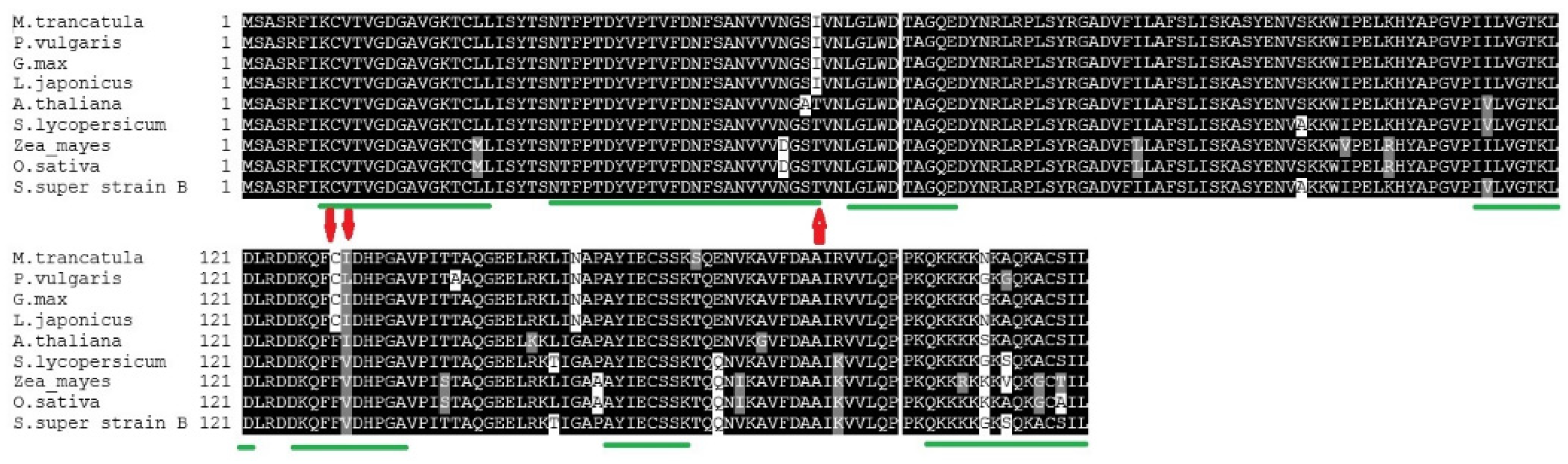 Plants 11 00641 g003 Plants 11 00641 g003