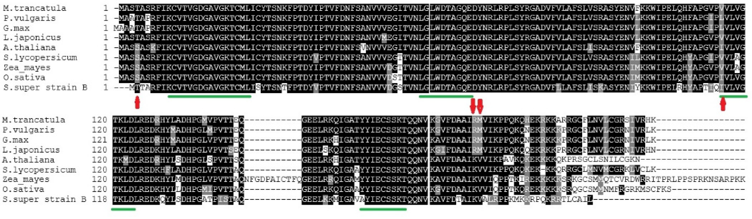 Plants 11 00641 g004 Plants 11 00641 g004