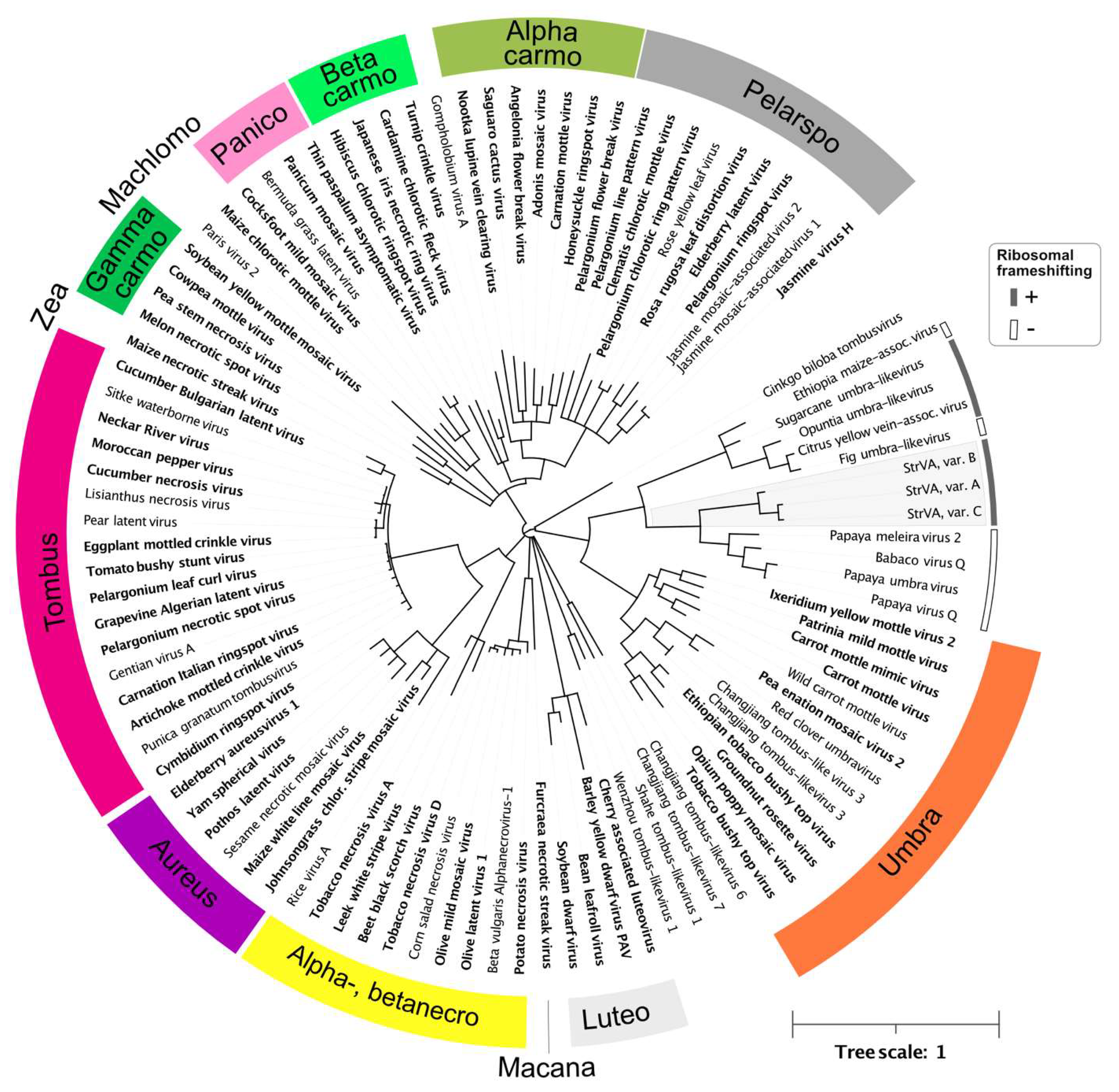 Plants 11 00643 g004 550