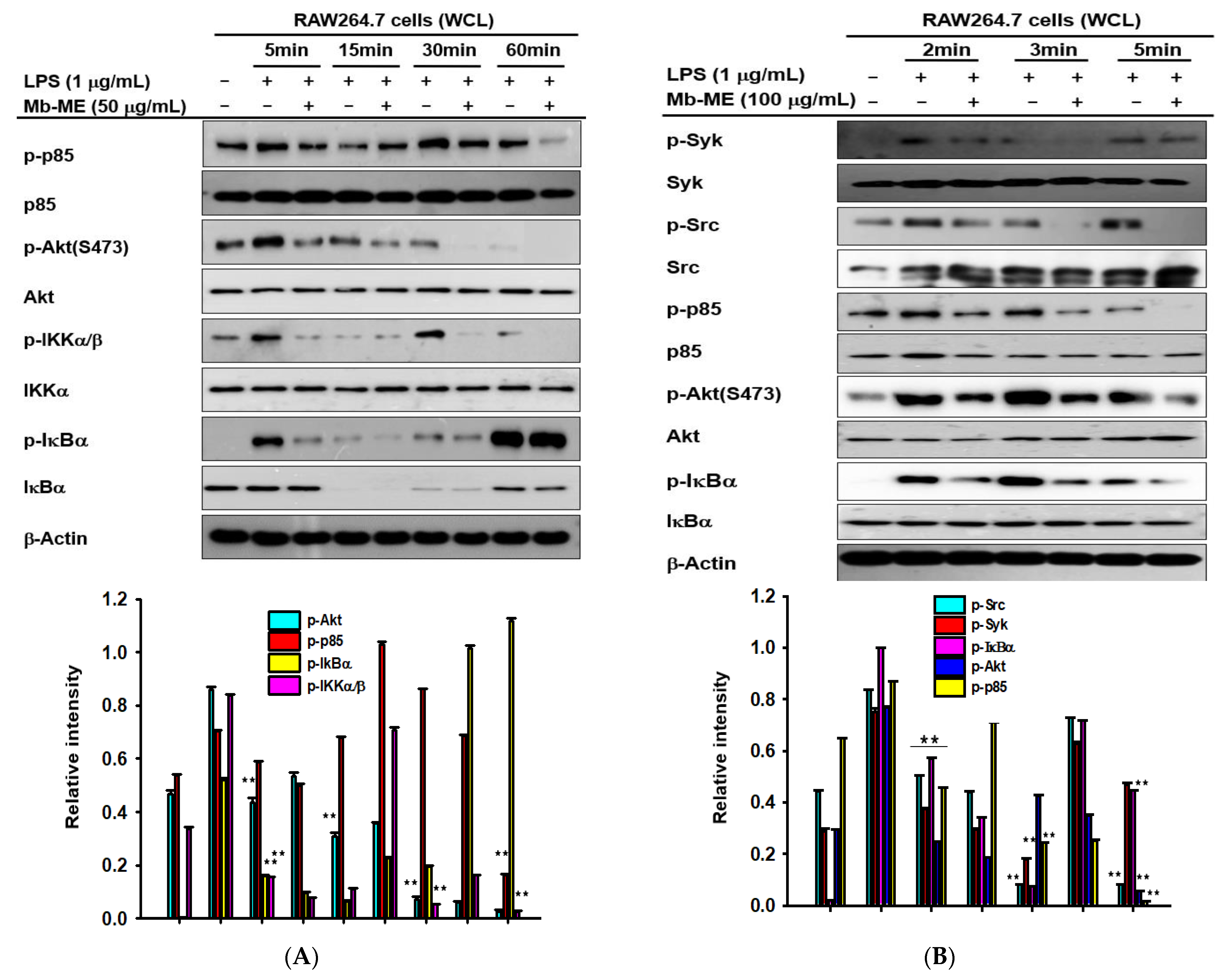 Plants 11 00646 g004a Plants 11 00646 g004a