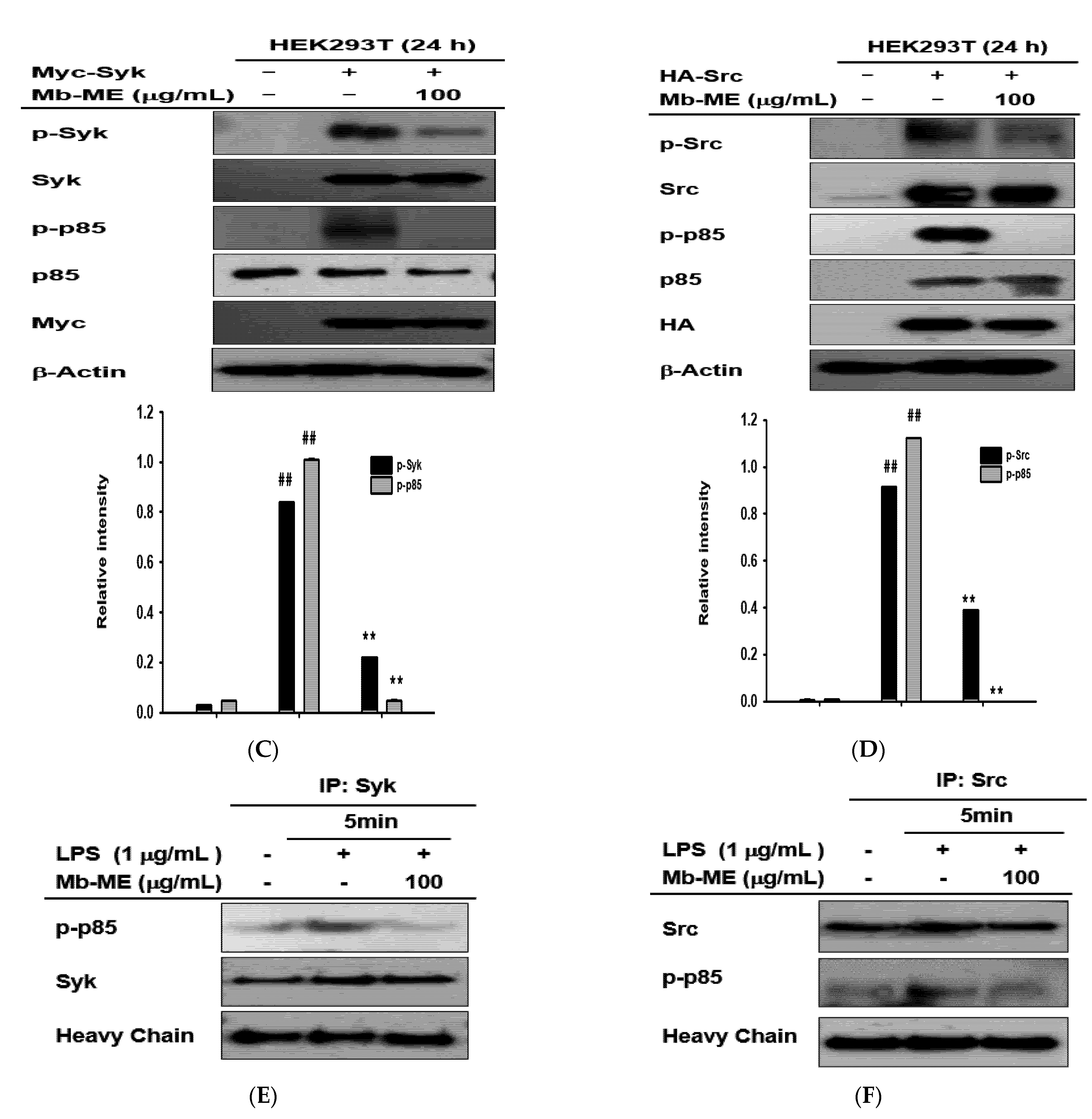 Plants 11 00646 g004b Plants 11 00646 g004b