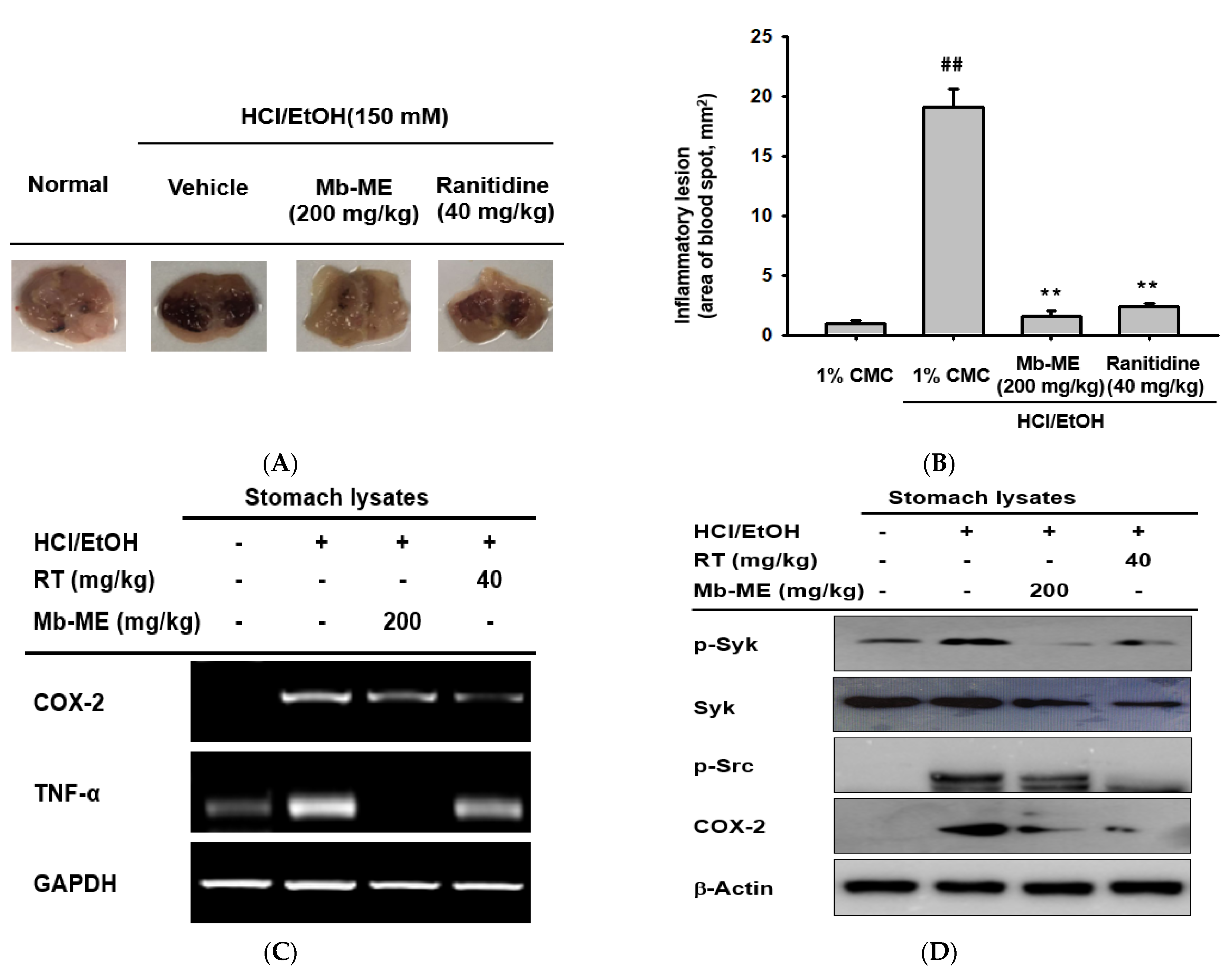 Plants 11 00646 g005 Plants 11 00646 g005