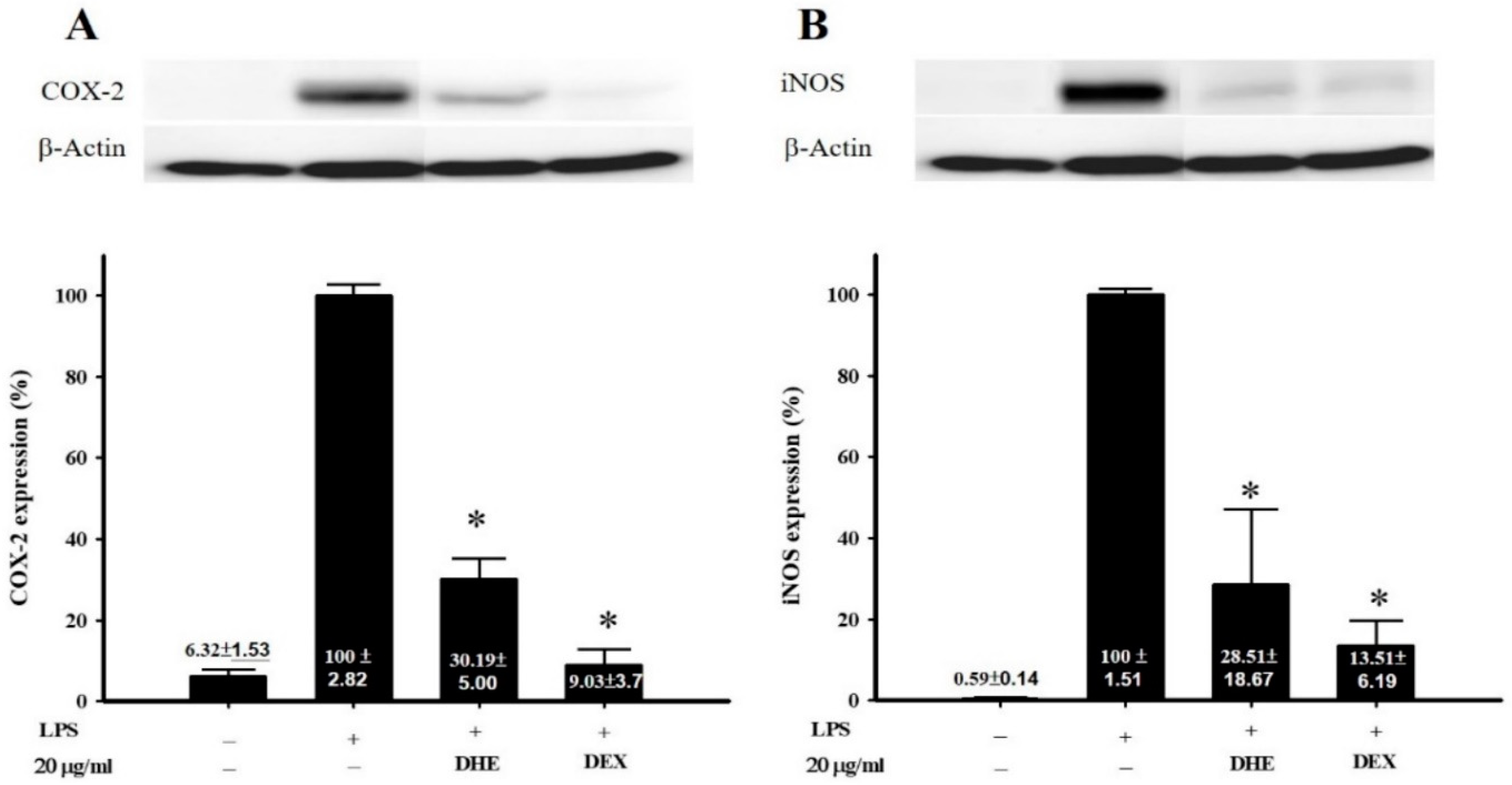 Plants 11 00648 g002 Plants 11 00648 g002