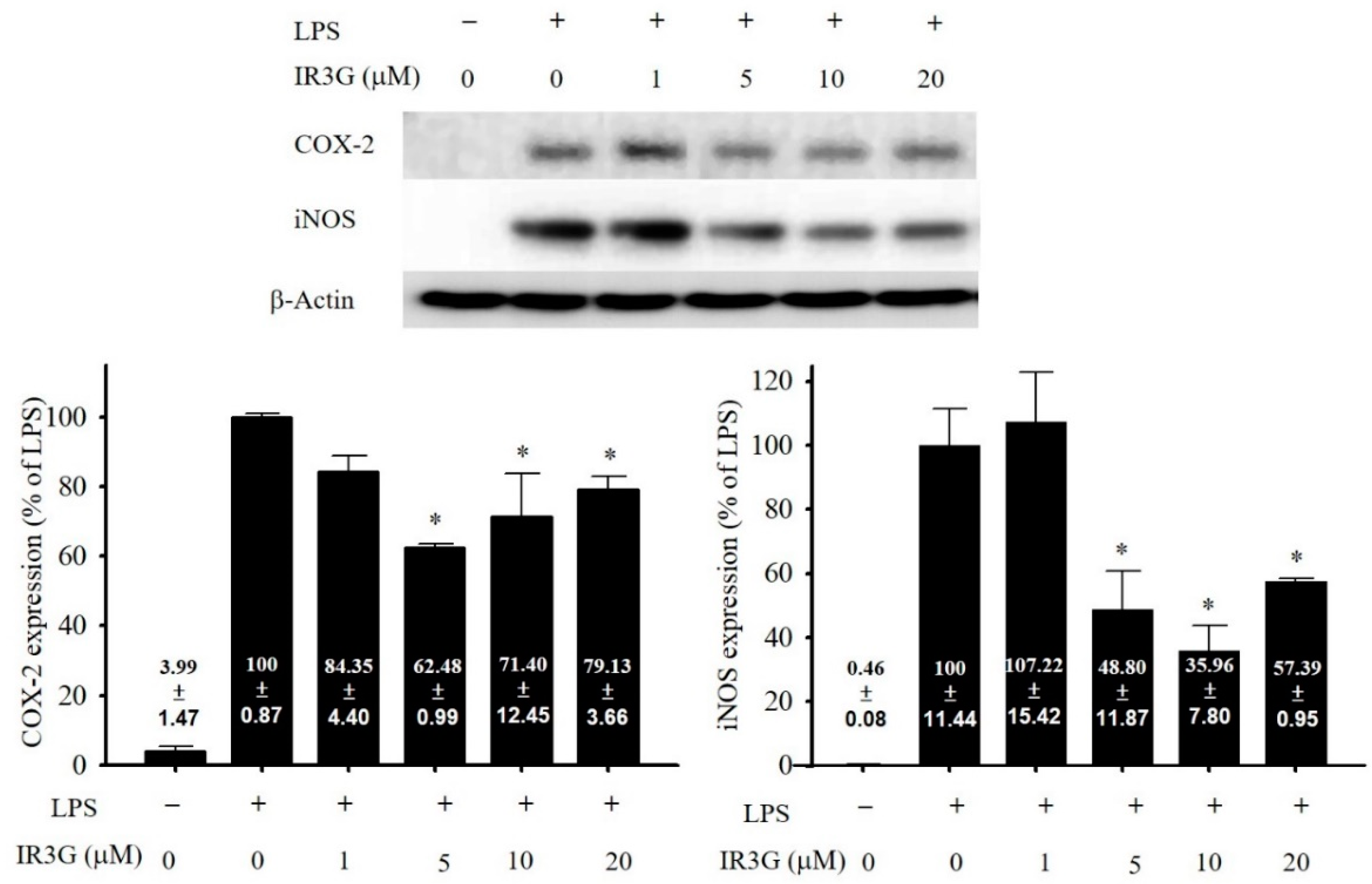 Plants 11 00648 g003 Plants 11 00648 g003