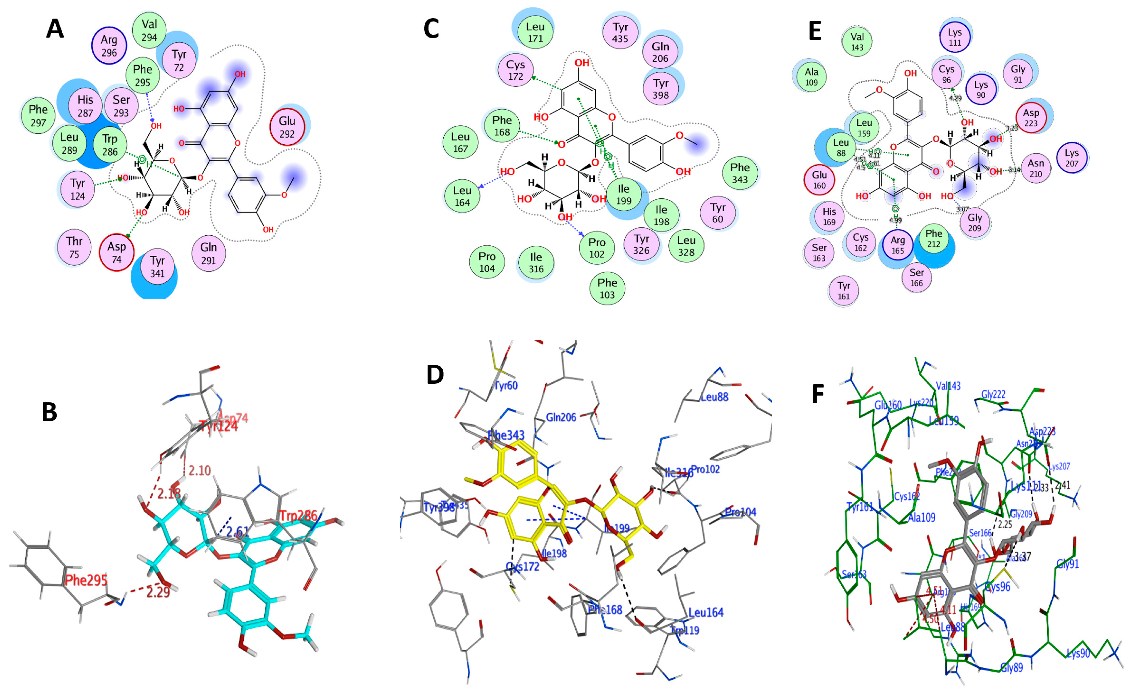 Plants 11 00648 g006 Plants 11 00648 g006