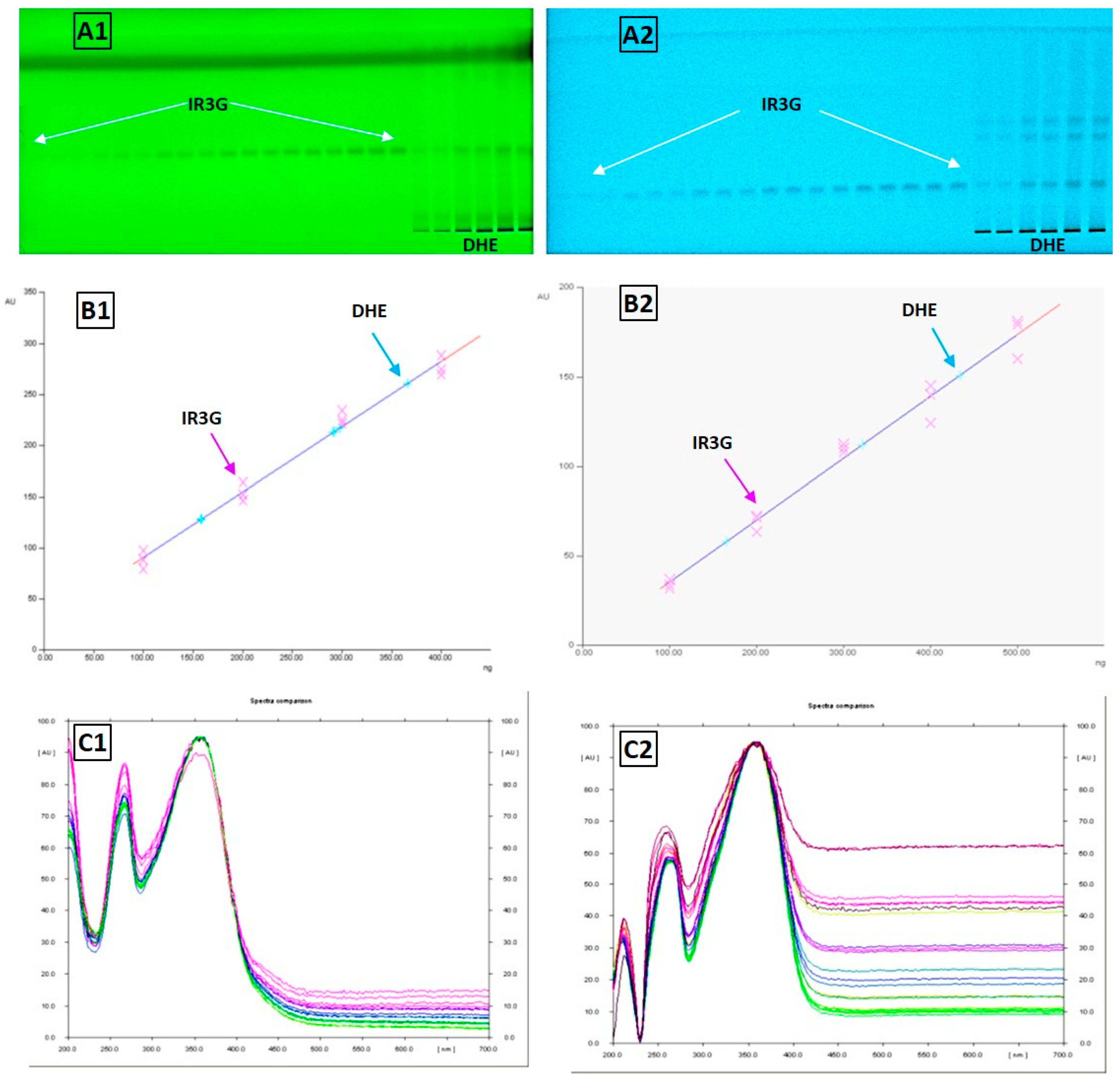 Plants 11 00648 g010 Plants 11 00648 g010