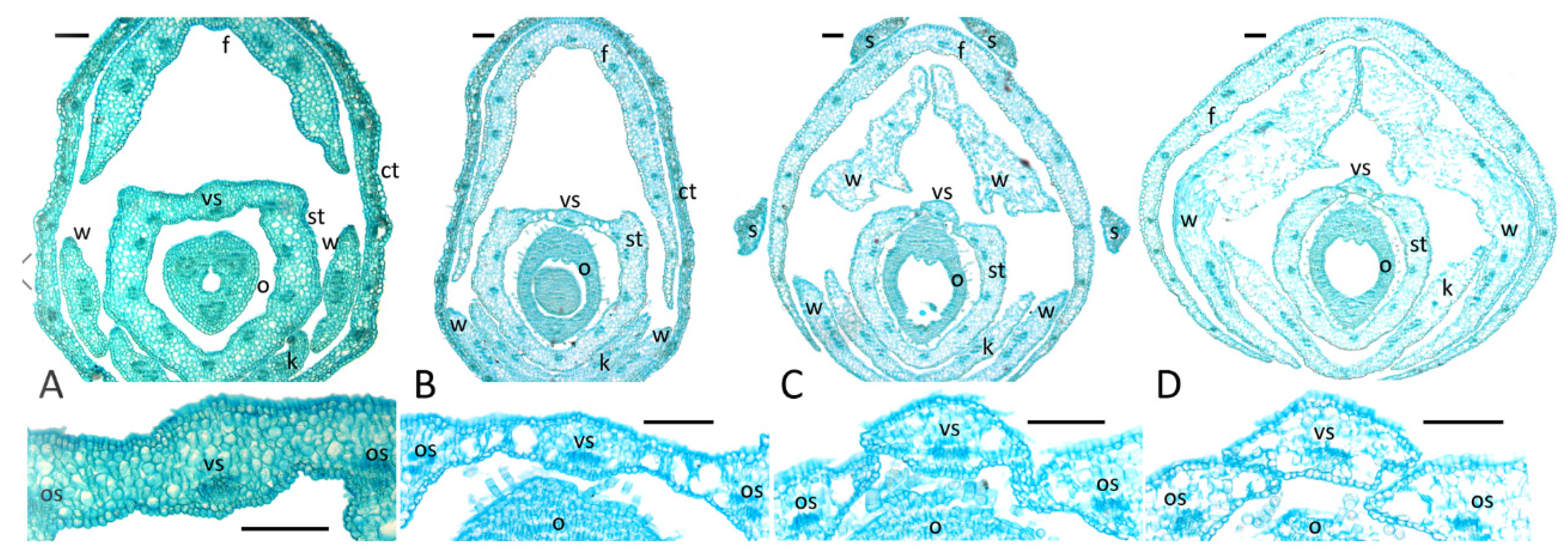Plants 11 00649 g002 550