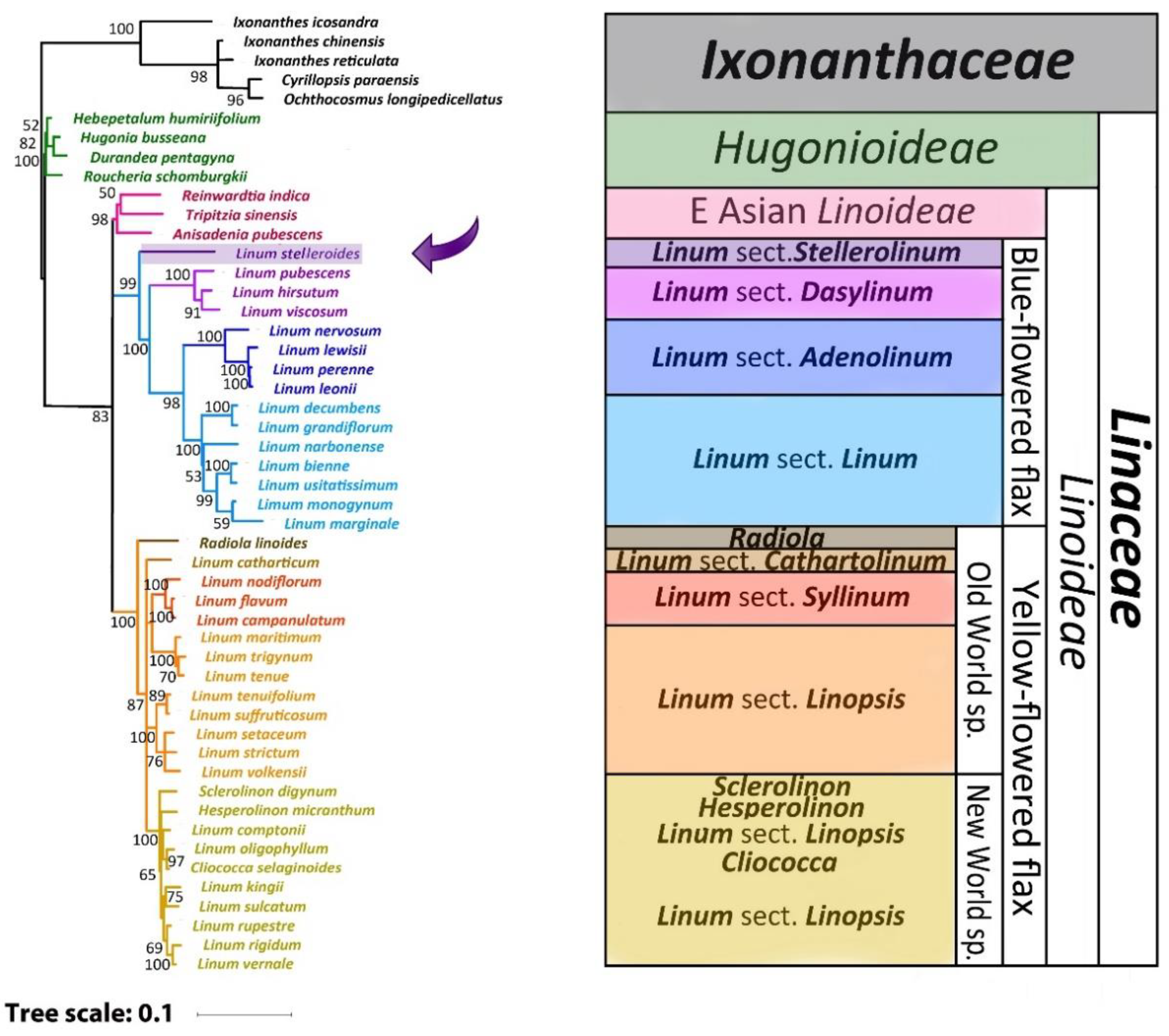 Plants 11 00652 g002