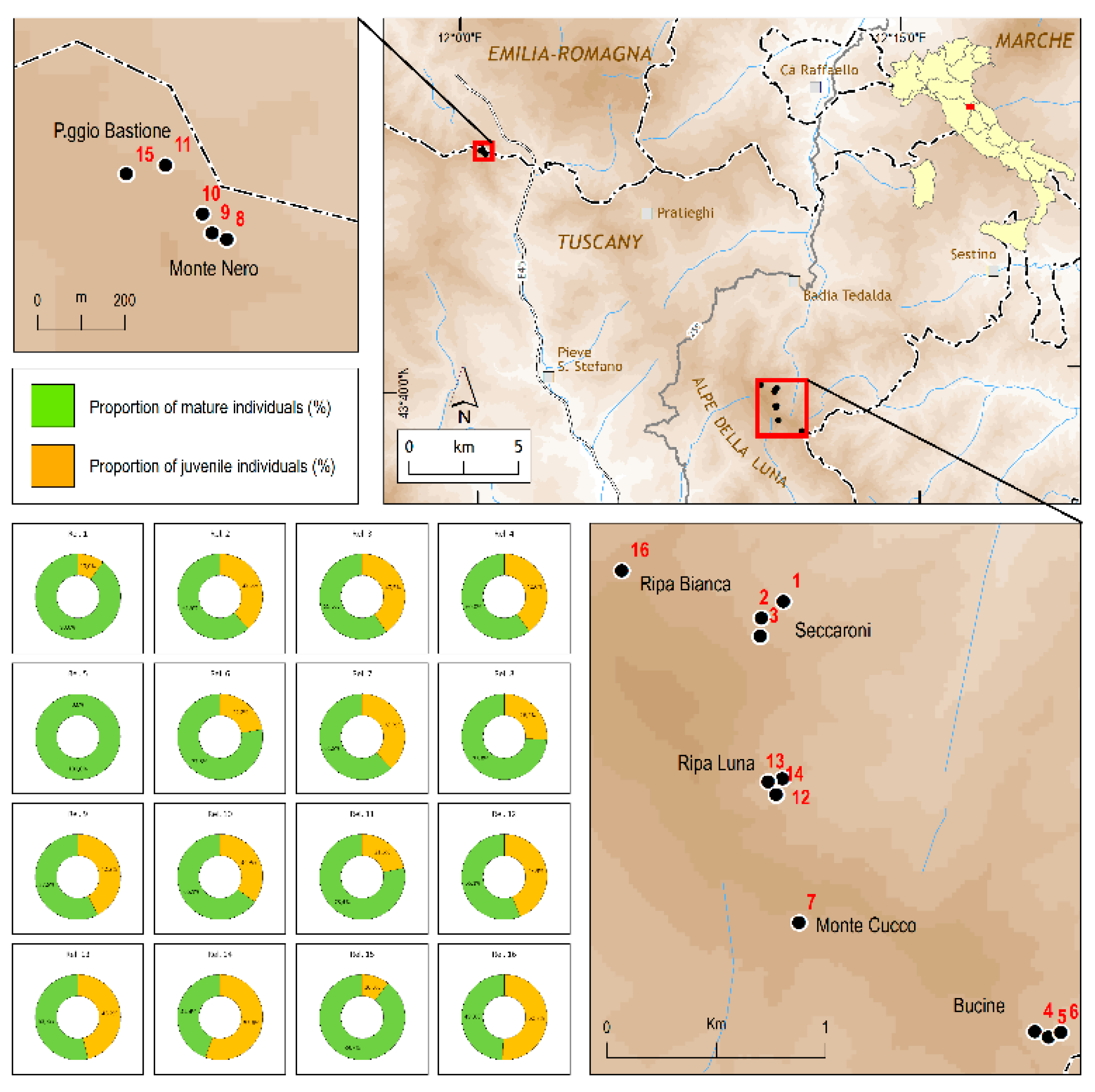 Plants 11 00653 g001 550