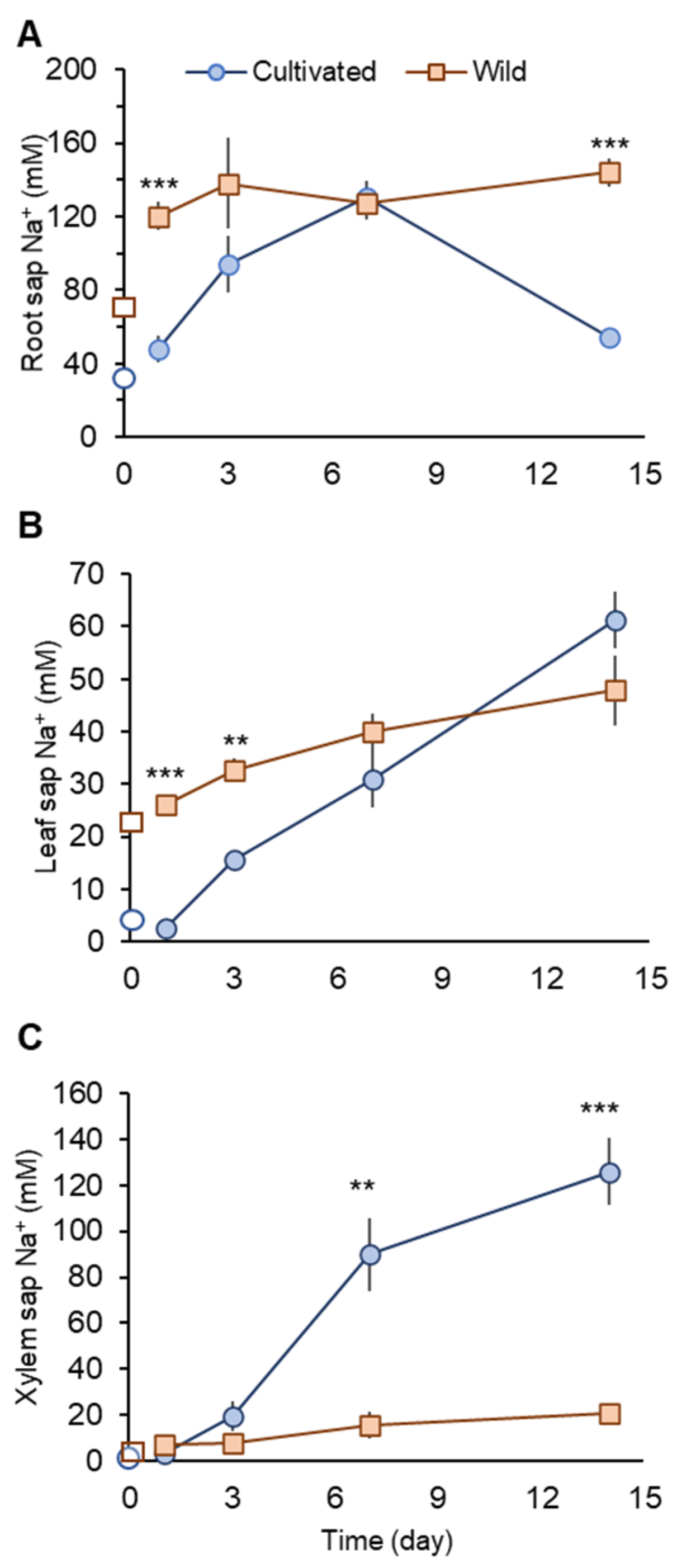 Plants 11 00656 g003 550