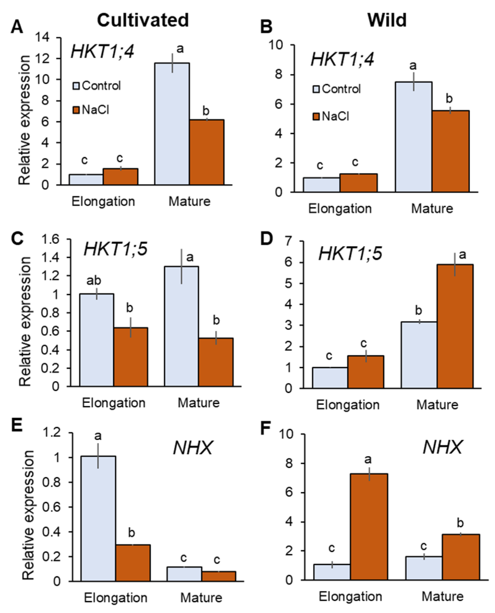 Plants 11 00656 g004 550