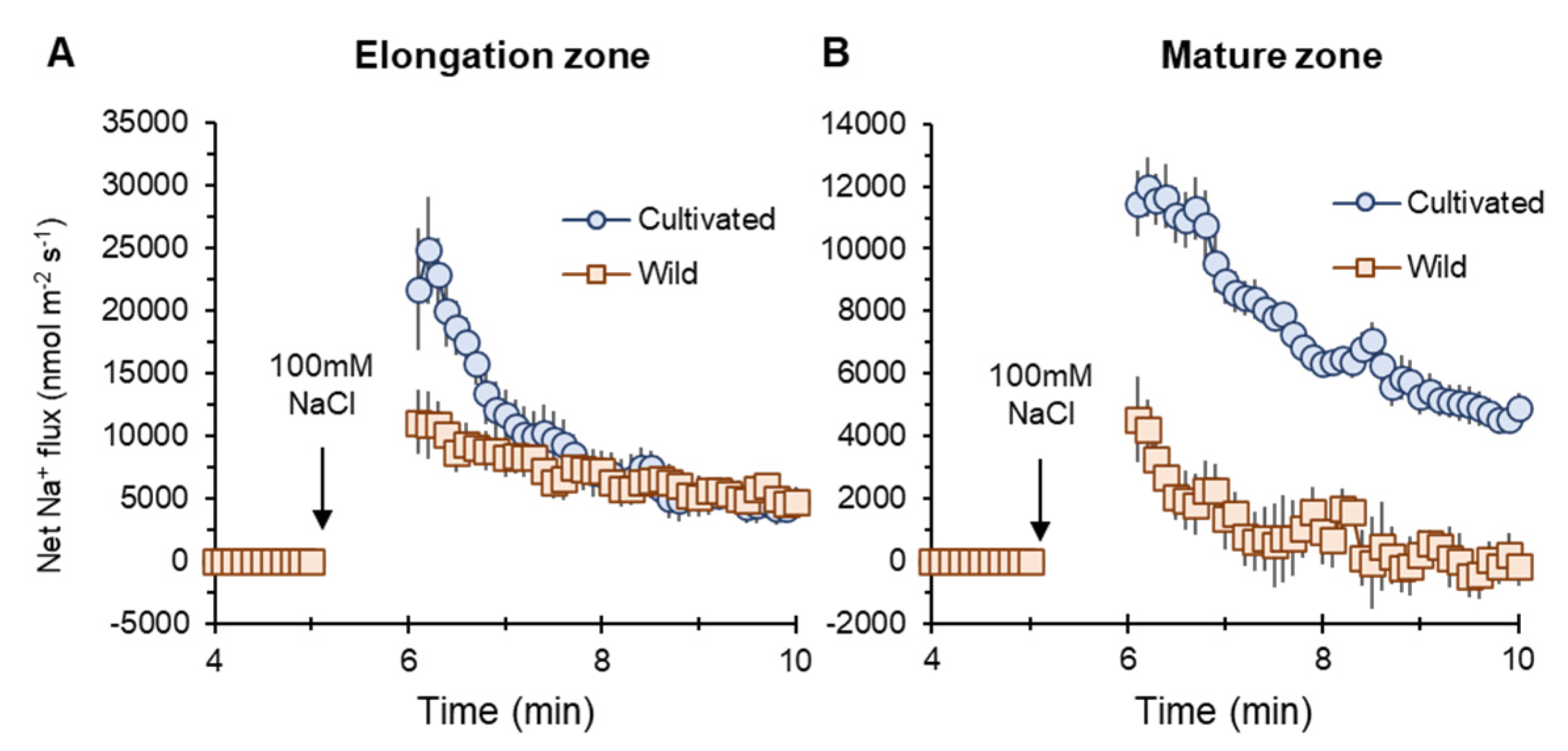 Plants 11 00656 g005 550