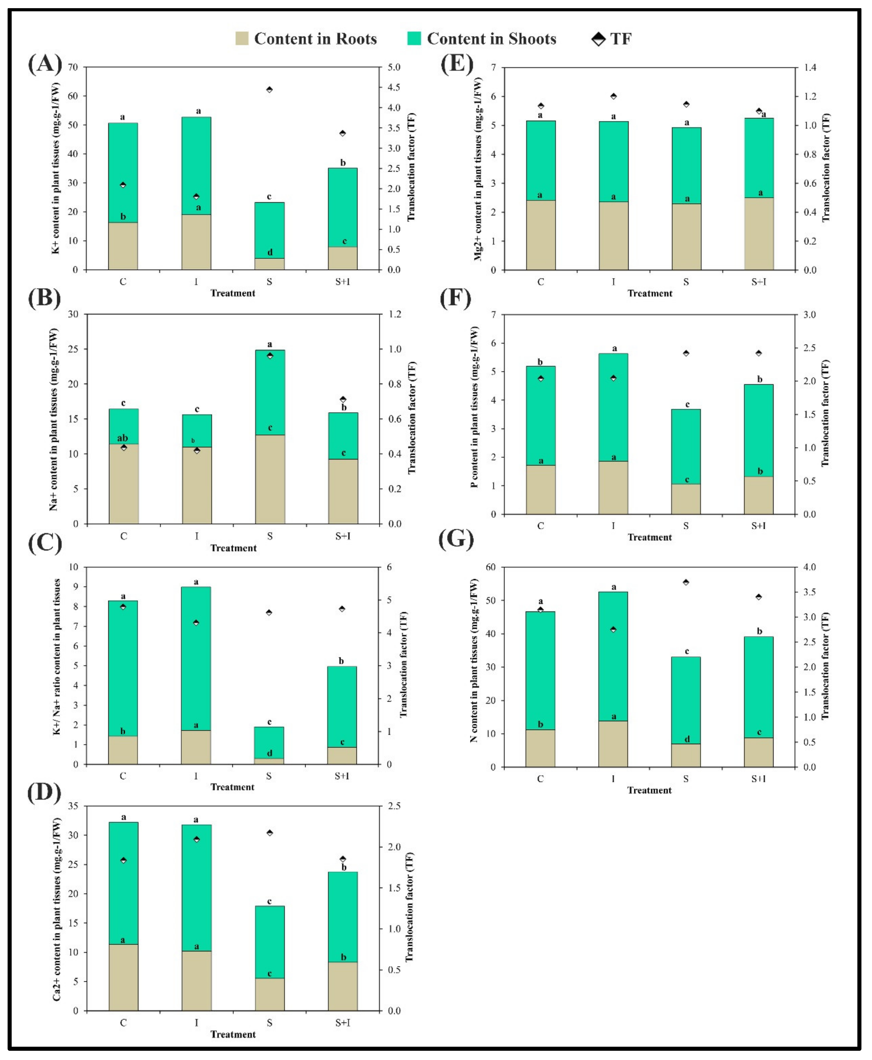 Plants 11 00659 g003
