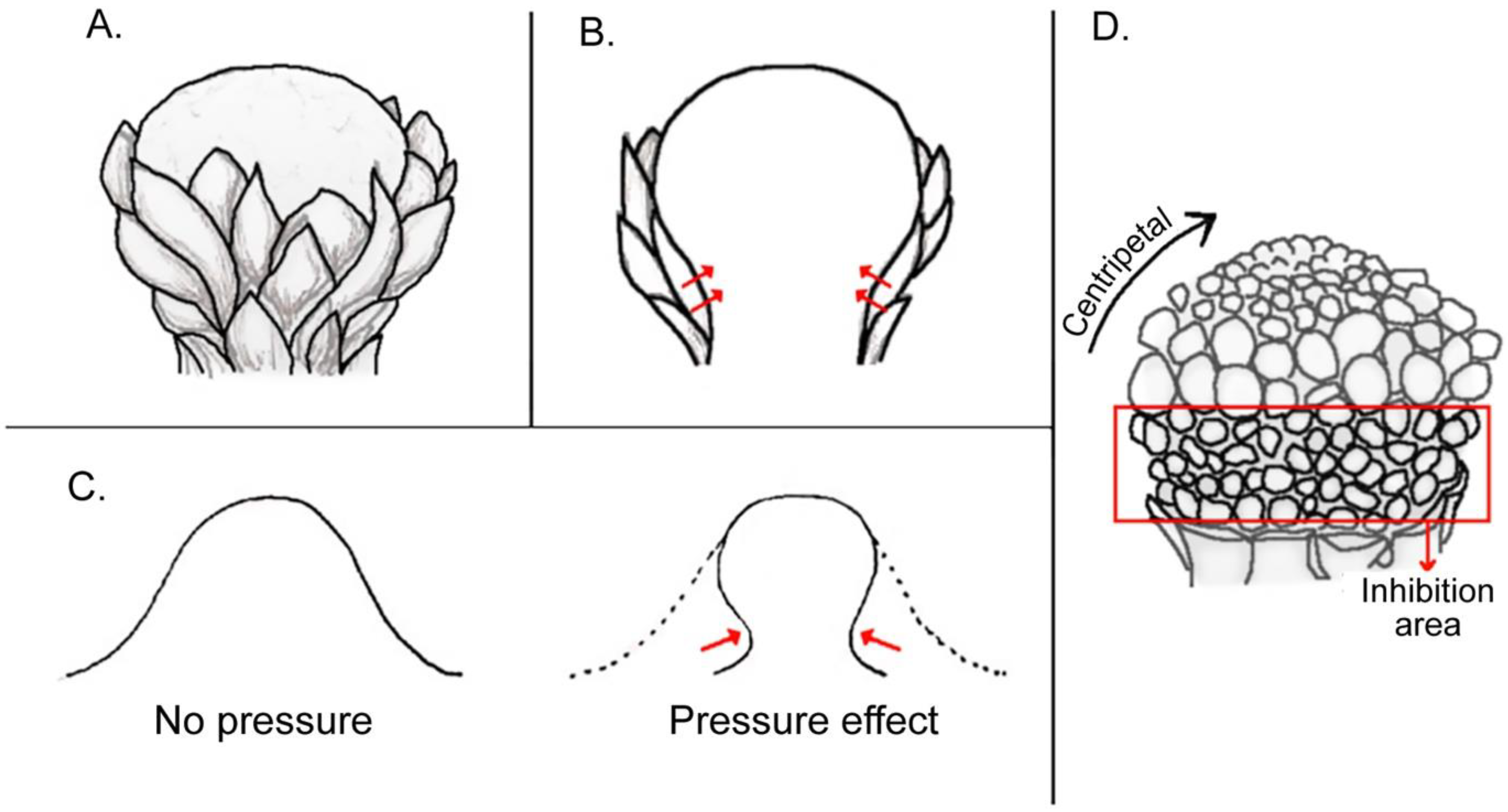Plants 11 00661 g008 Plants 11 00661 g008