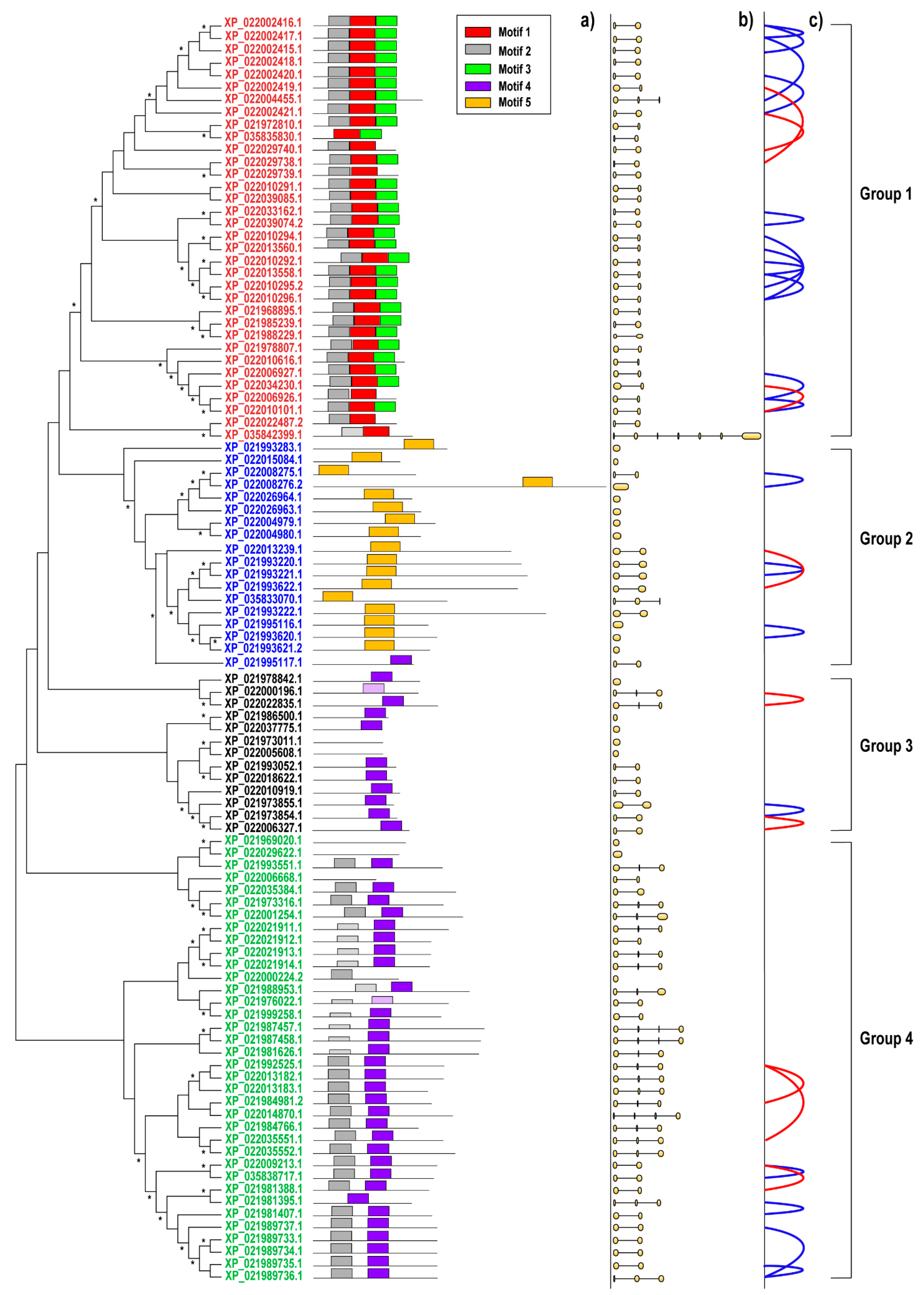 Plants 11 00664 g001 Plants 11 00664 g001
