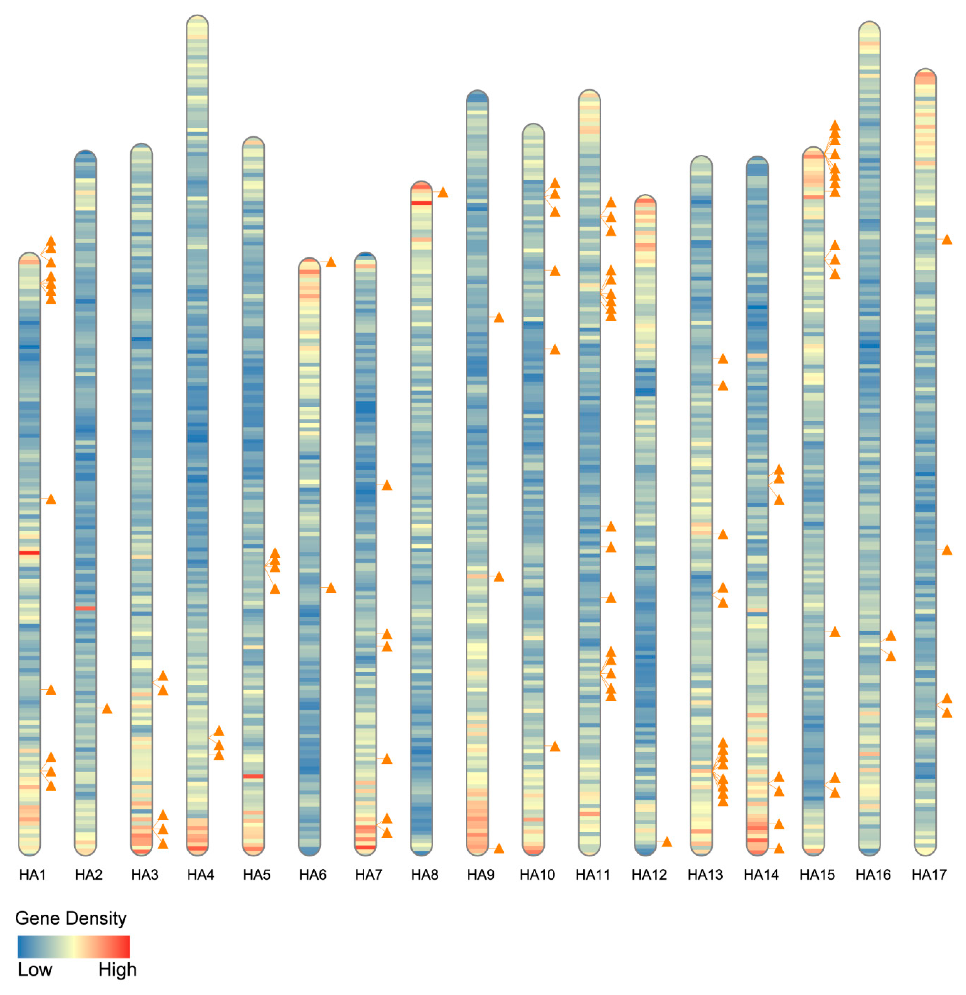 Plants 11 00664 g003 Plants 11 00664 g003