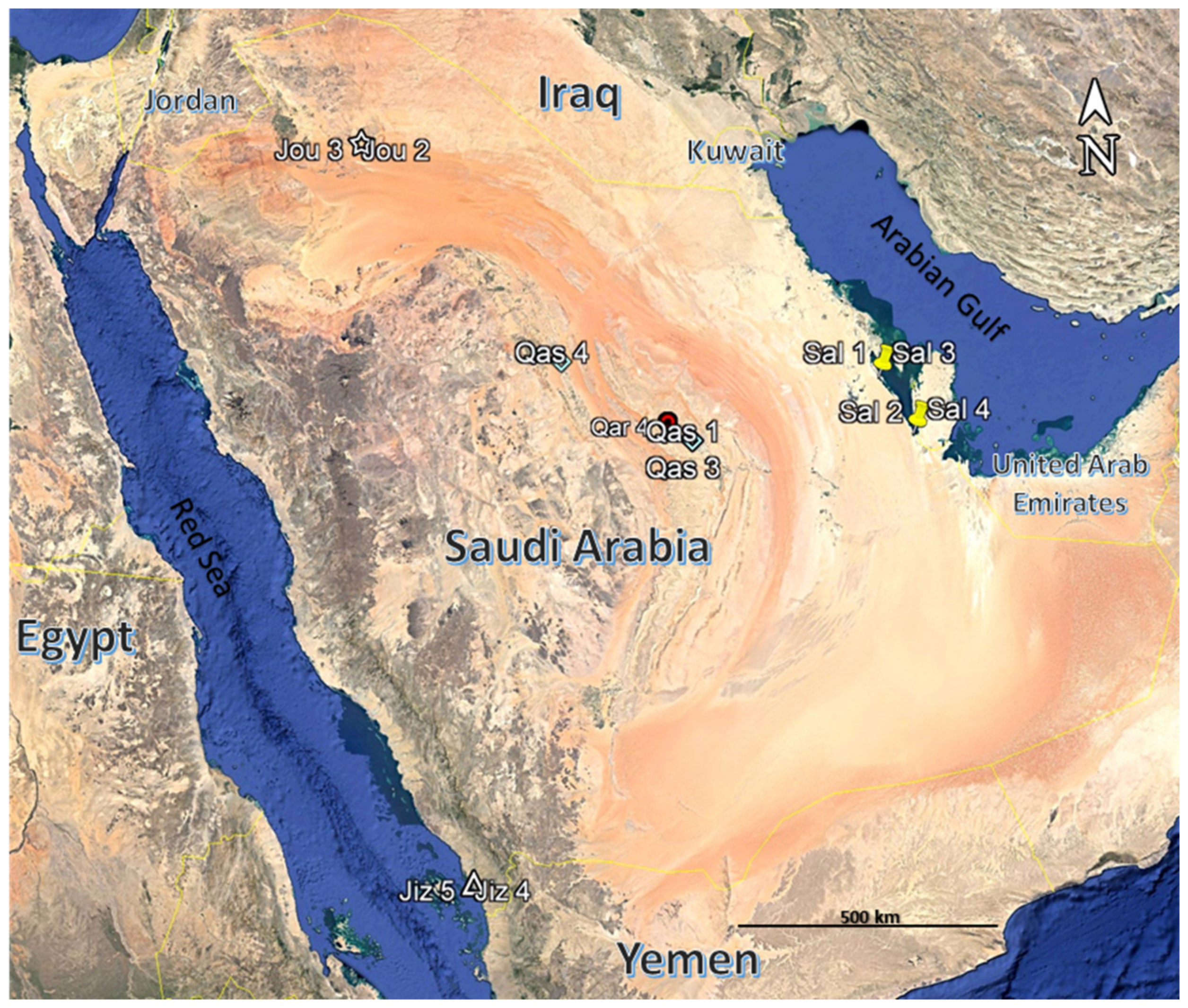 Plants 11 00666 g007 550