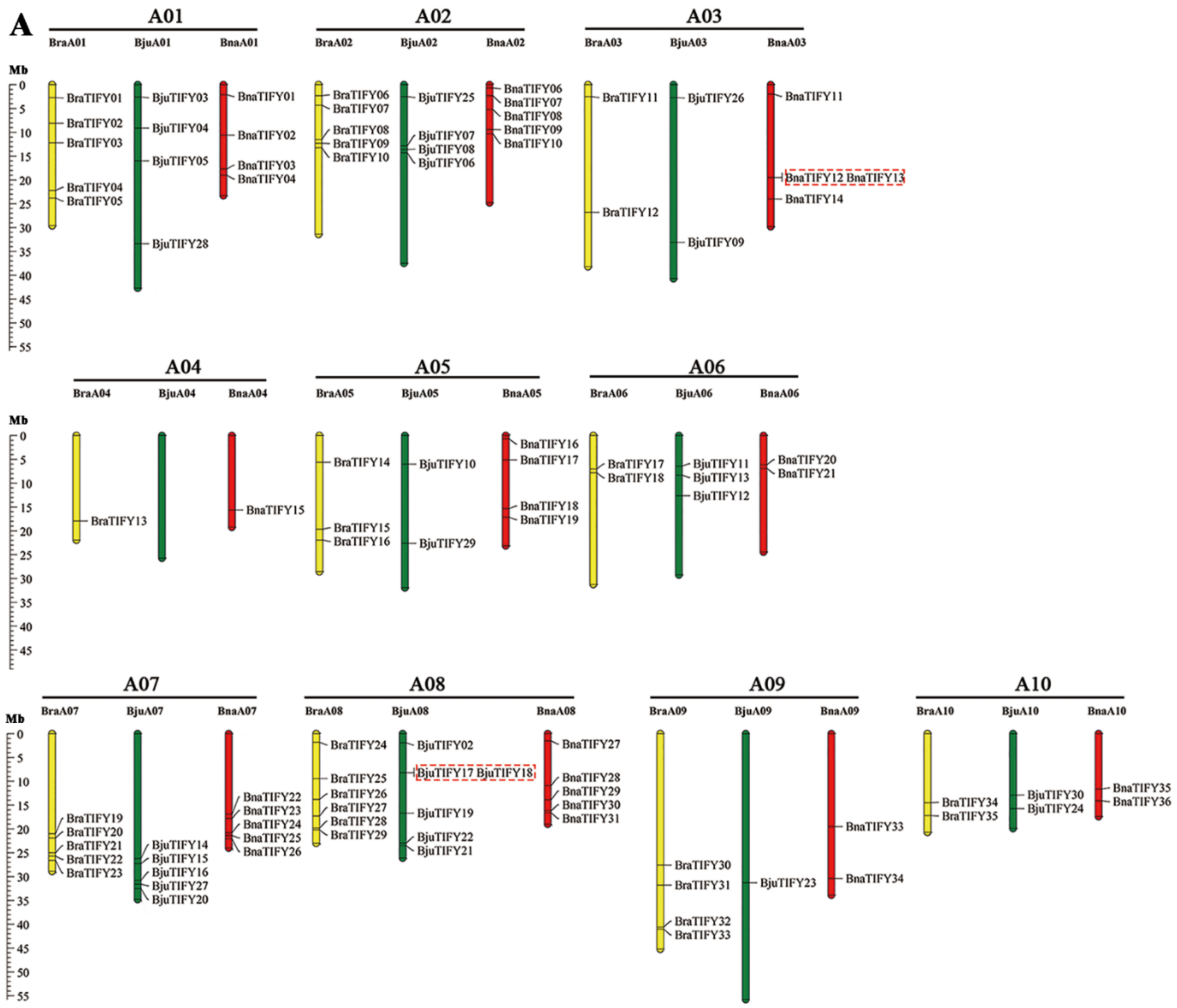 Plants 11 00667 g002a